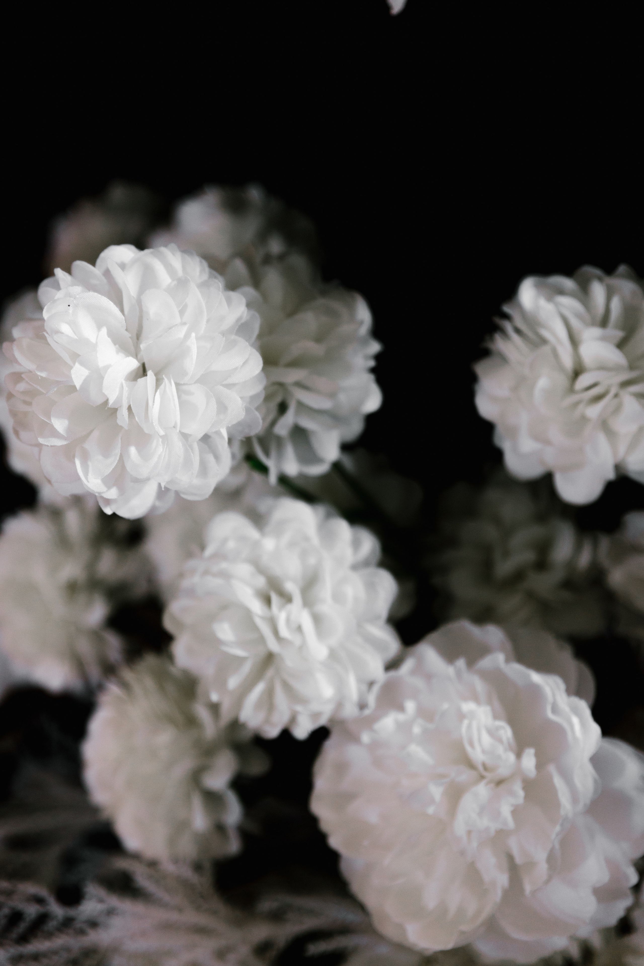 Сёма и Юля. Свадебный фотограф в Пятигорске и КМВ Софья Аджикеримова