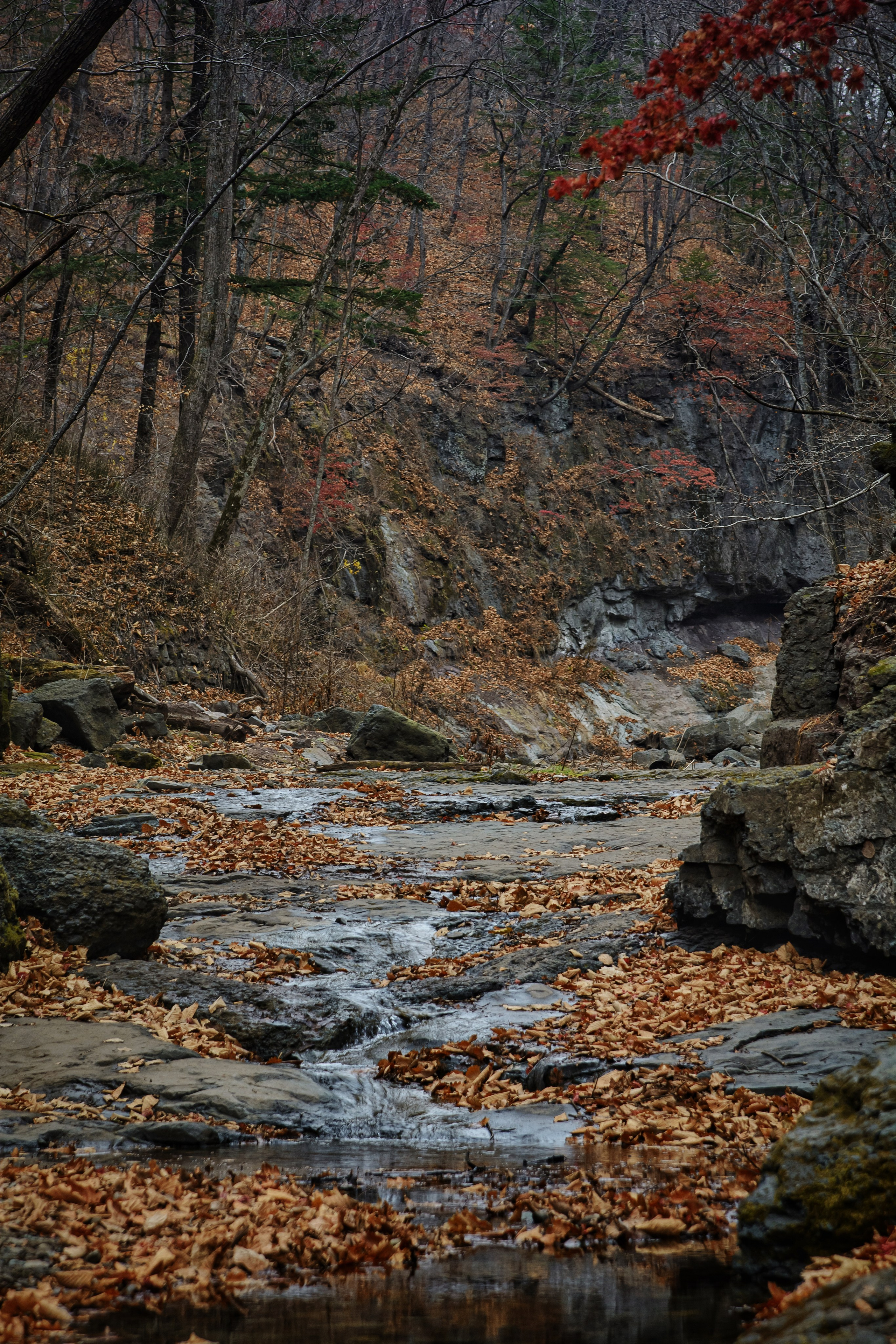 Пейзажи и дикая природа. Пейзажный и репортажный фотограф