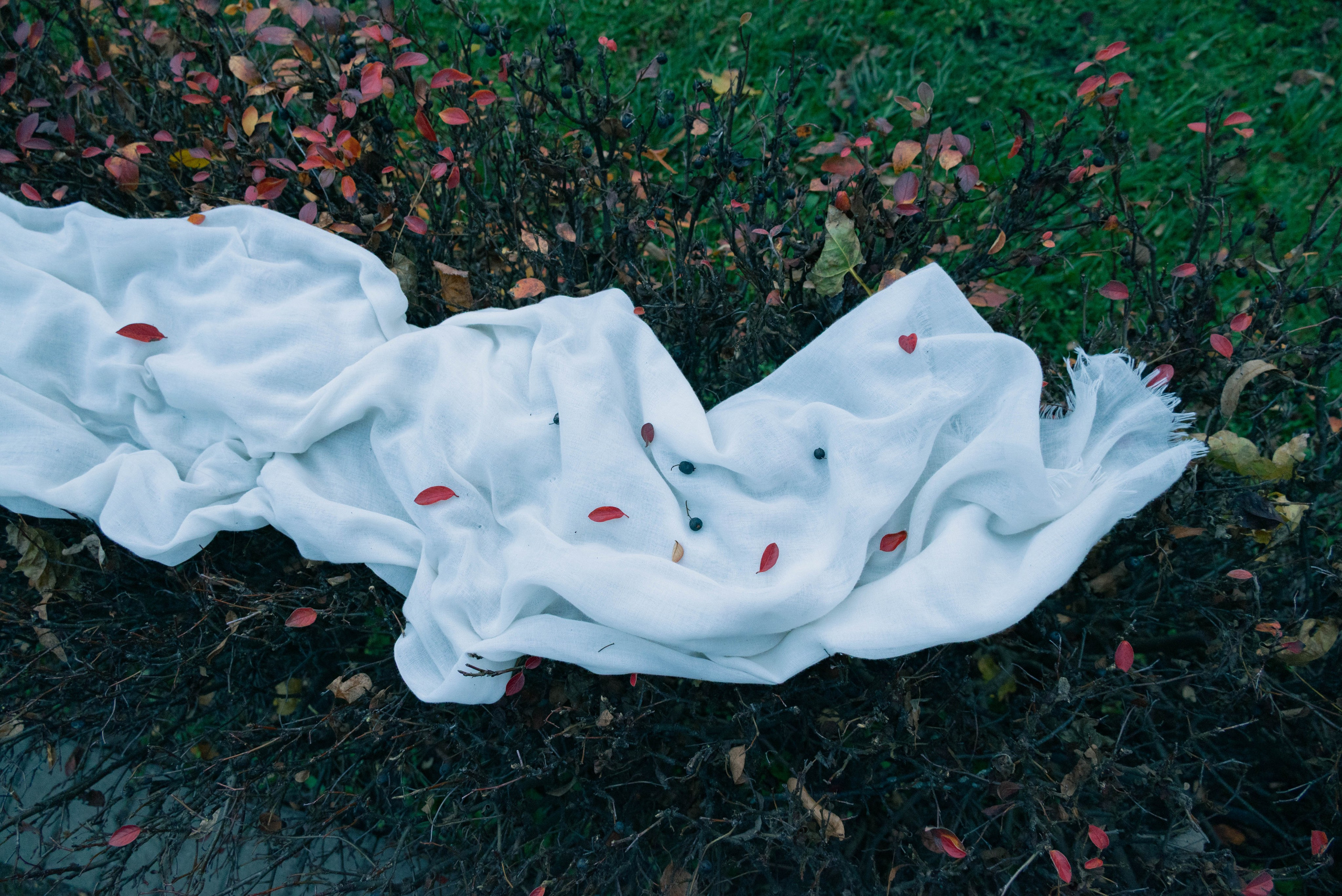 По Родни Смиту. Репортажный и портретный фотограф в Воронеже