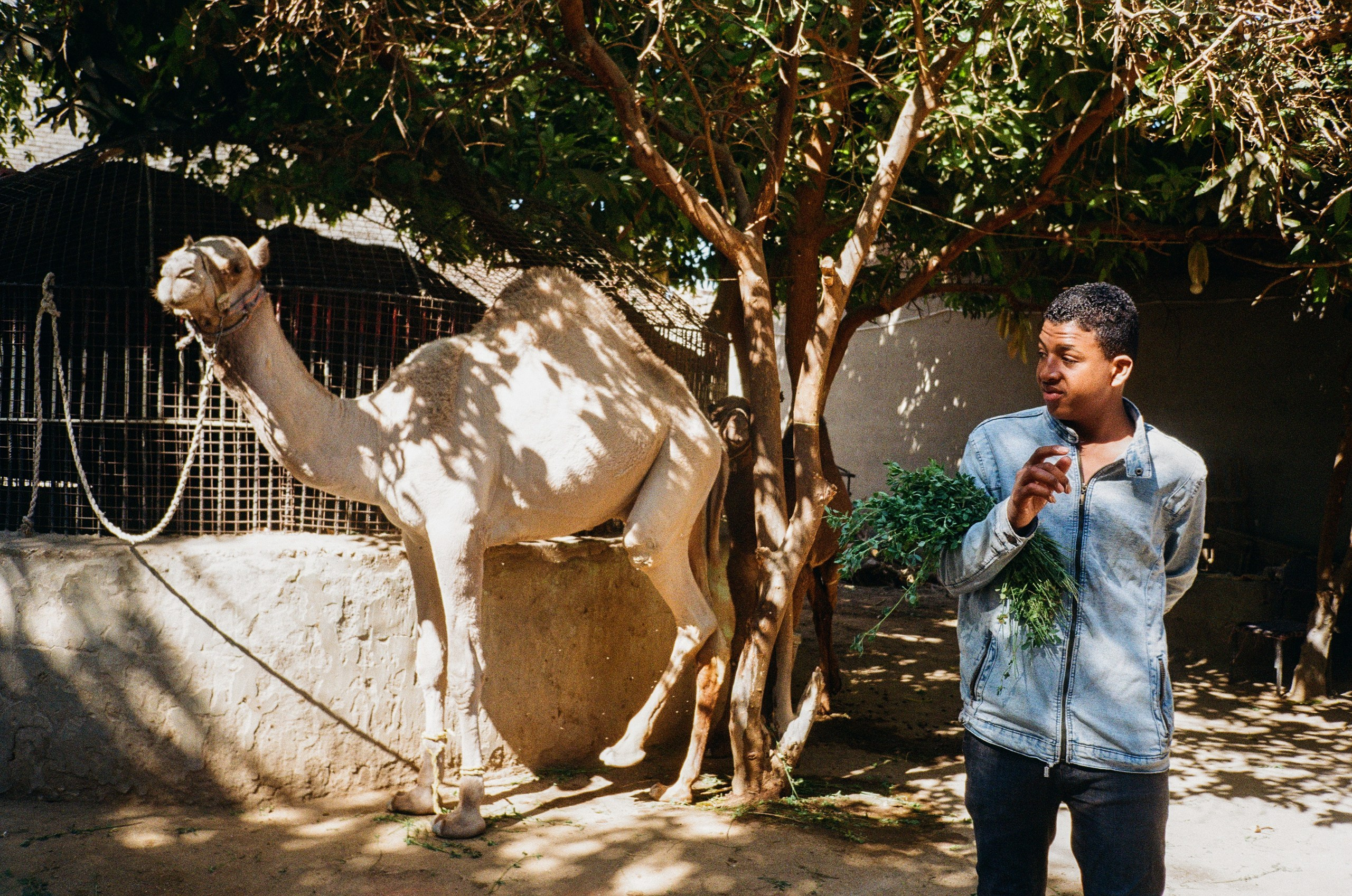 Снято на пленку. Семейный LIFESTYLE фотограф в Москве