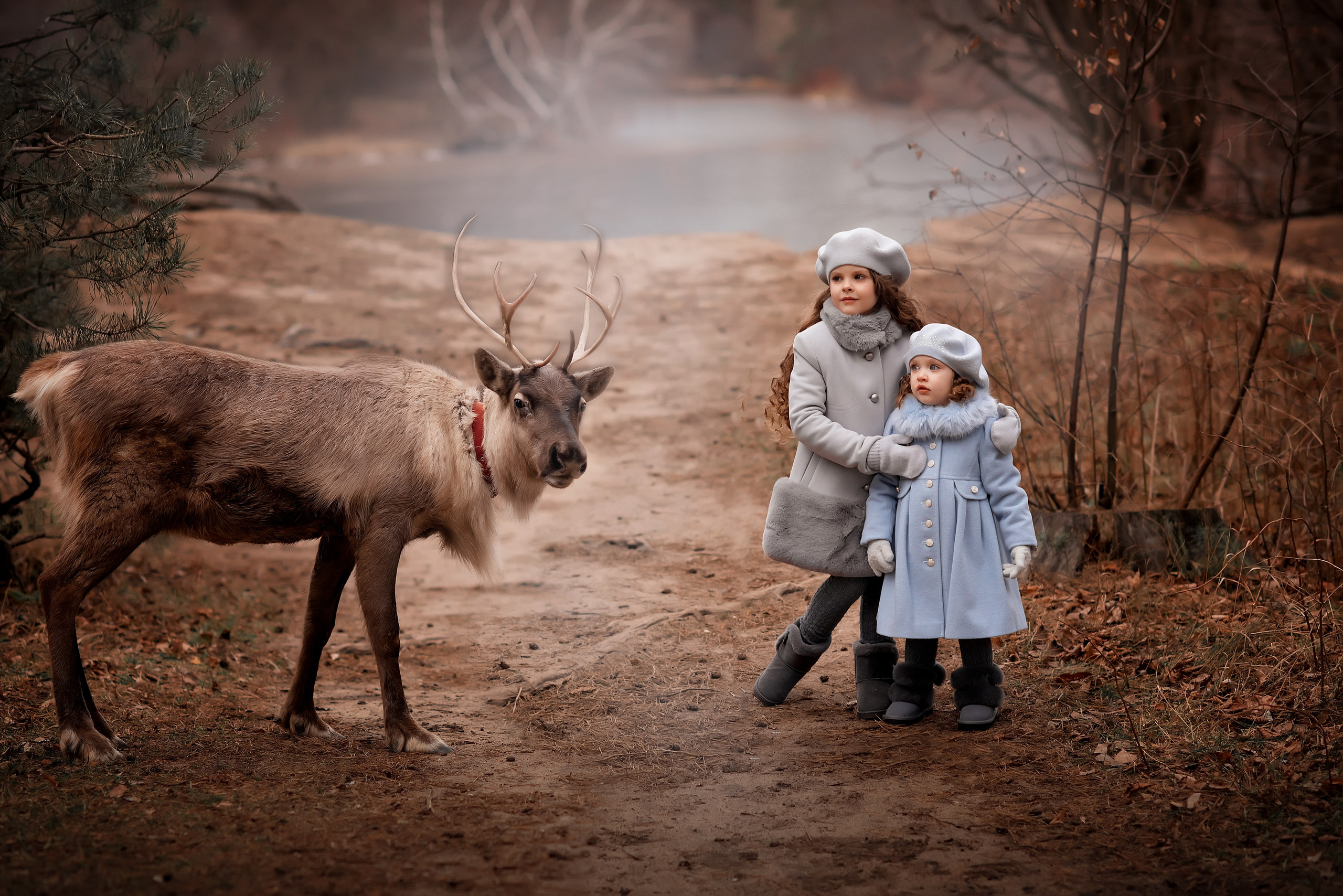Обучение фото