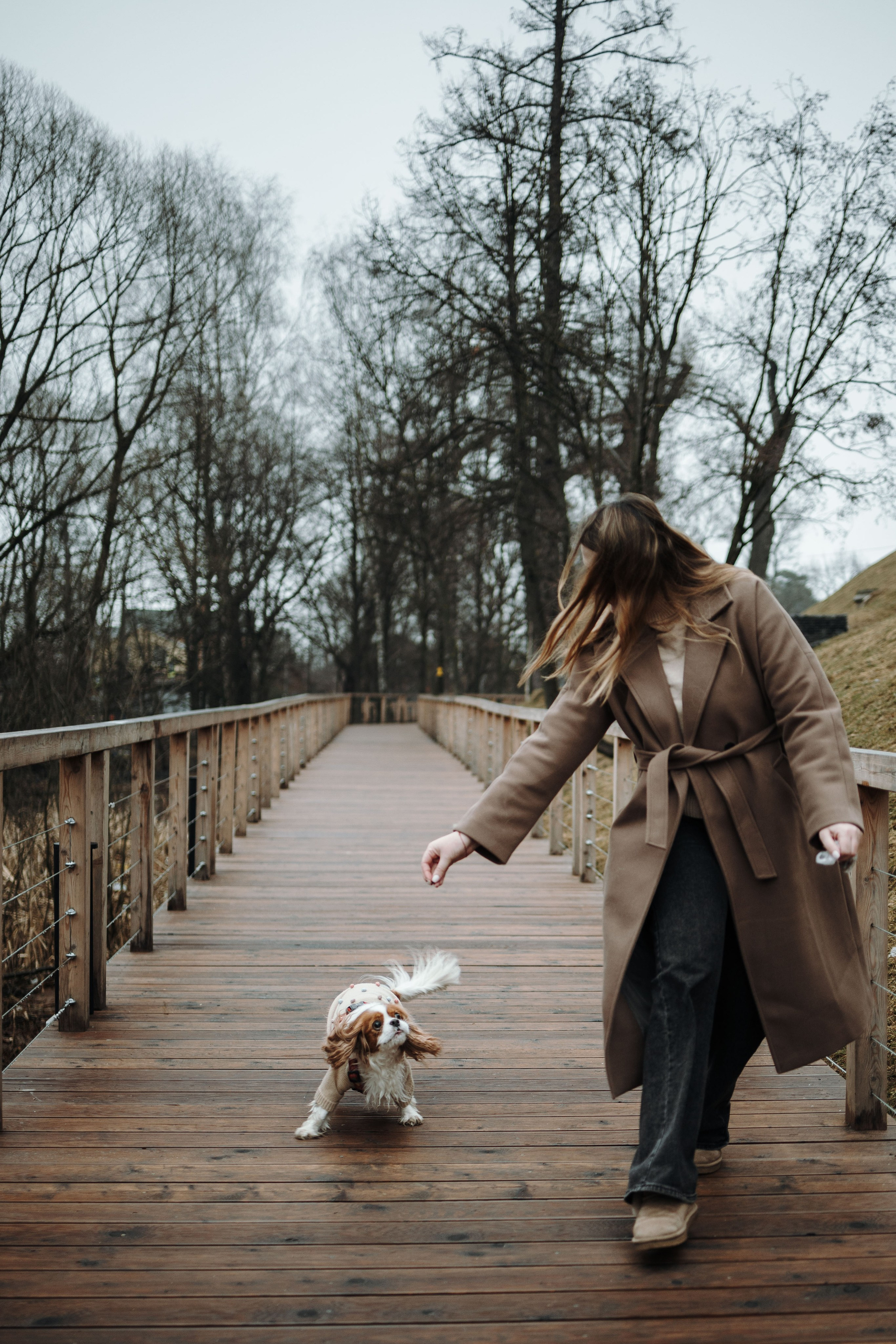 Любовь и Альтаир