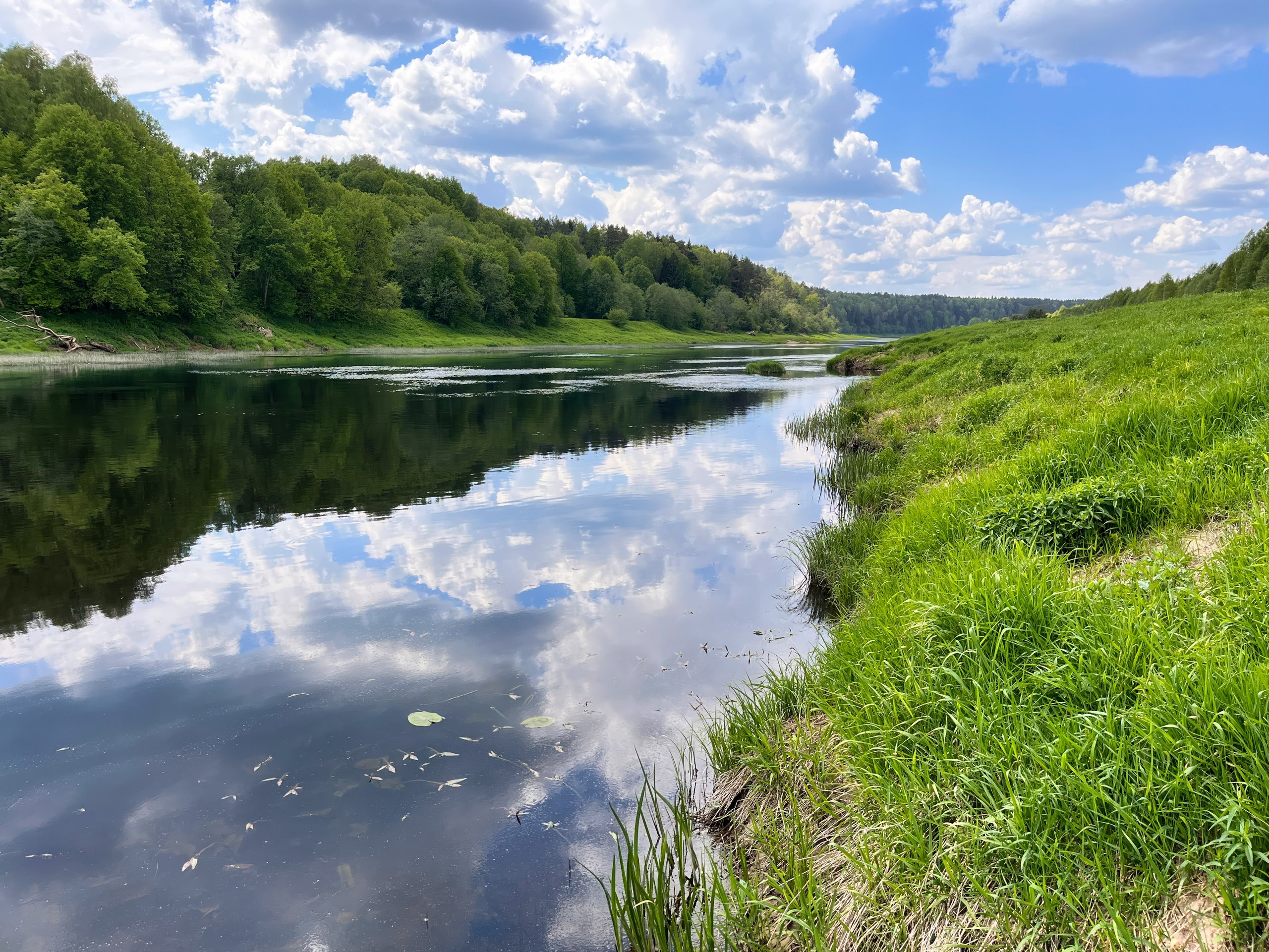На берегу Угры. Конец мая 2024 года. Фотограф Никифоров-Гордеев Сергей. Москва и МО