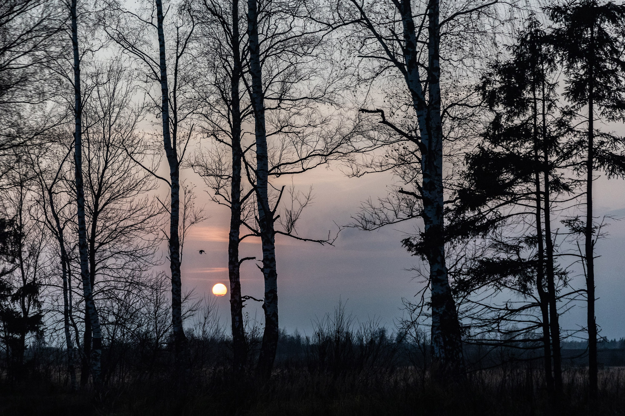 Большое путешествие в Карелию на машине. Марина Захарова — Фотограф. Москва / Marina Zakharova — Photographer