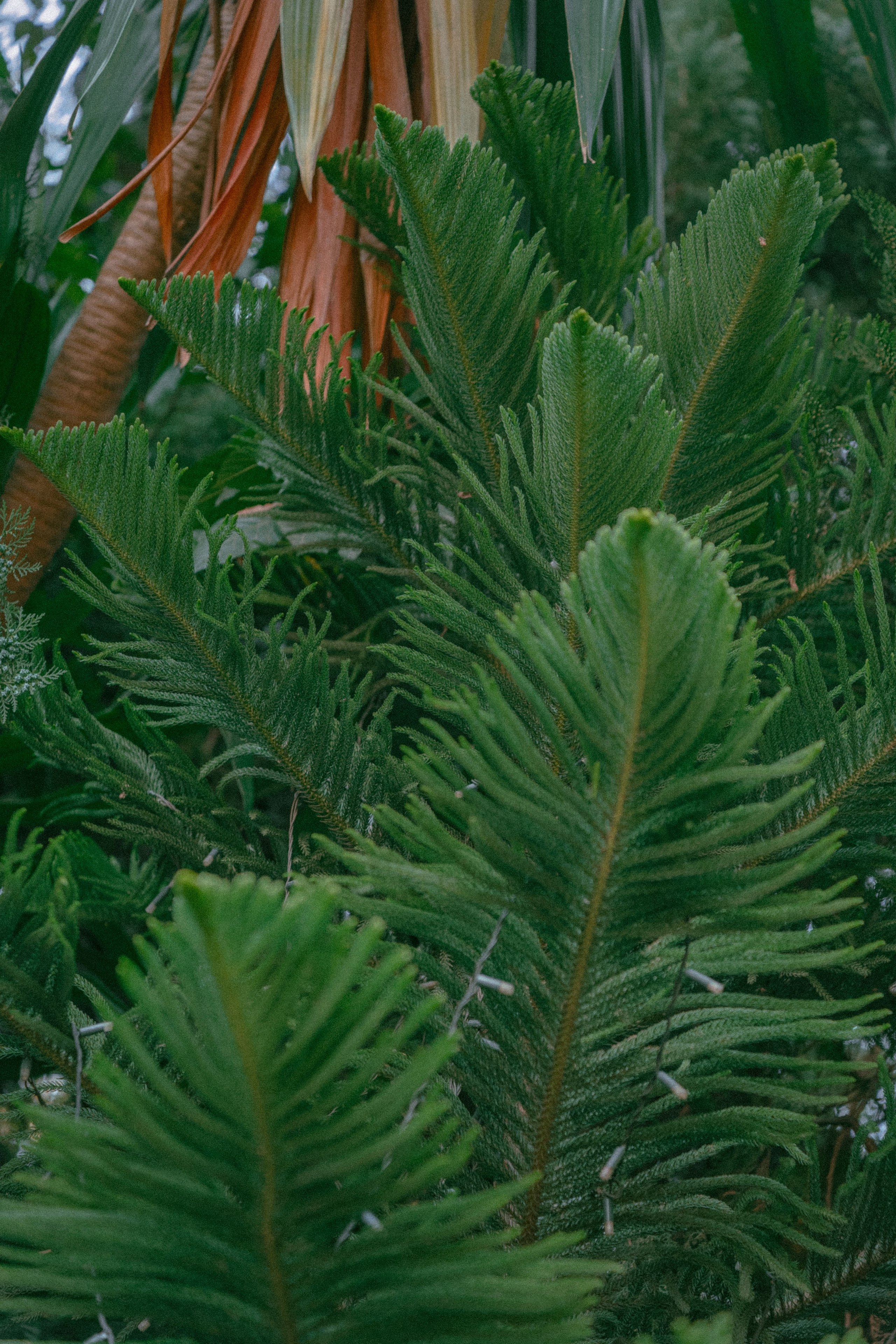 Плато жизни: Эфиопское нагорье. Юля Дэй • Фотограф, Санкт-Петербург