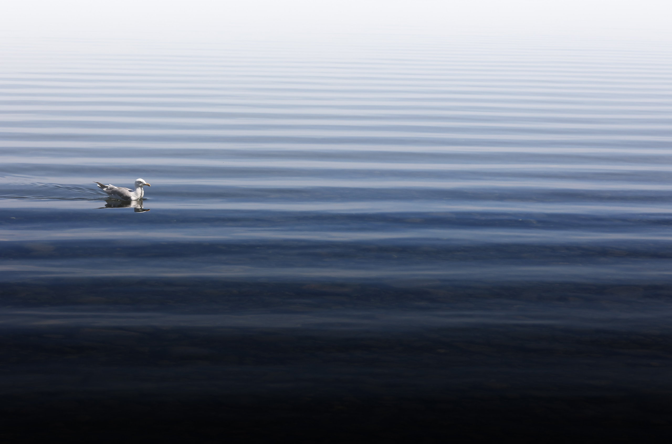 2025 год. Тащилин Сергей. Фотографии. Жизнь. Хобби