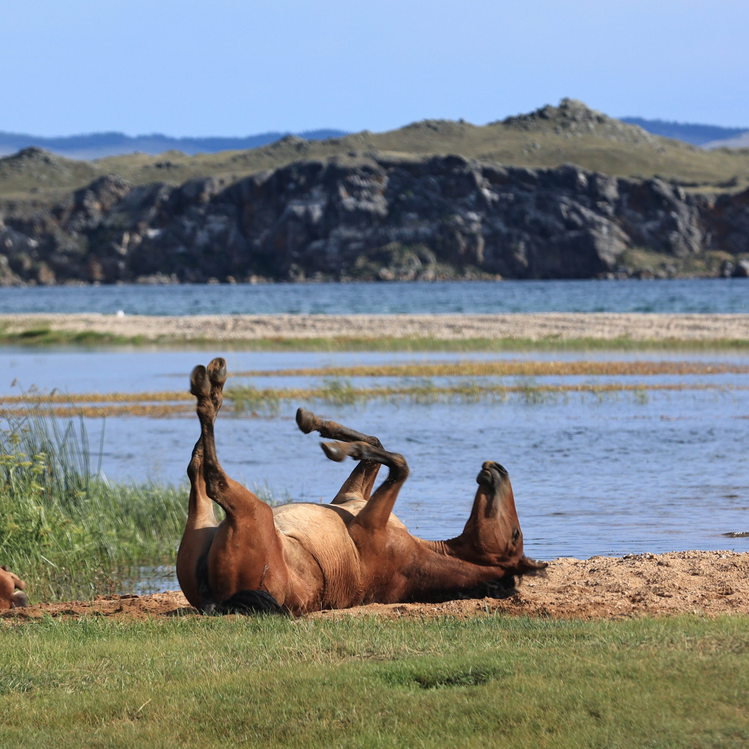 2022. Тащилин Сергей. Фотографии. Жизнь. Хобби