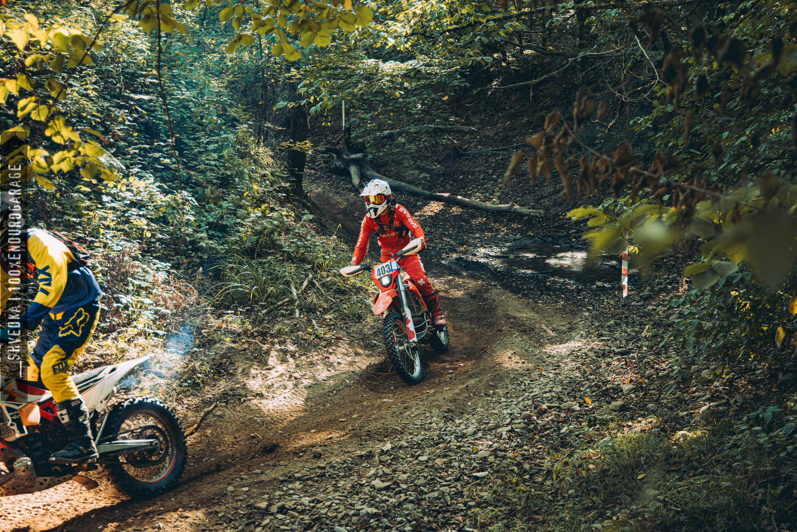2 лесной день. Ваш экстрим фотограф Кудрева Яна