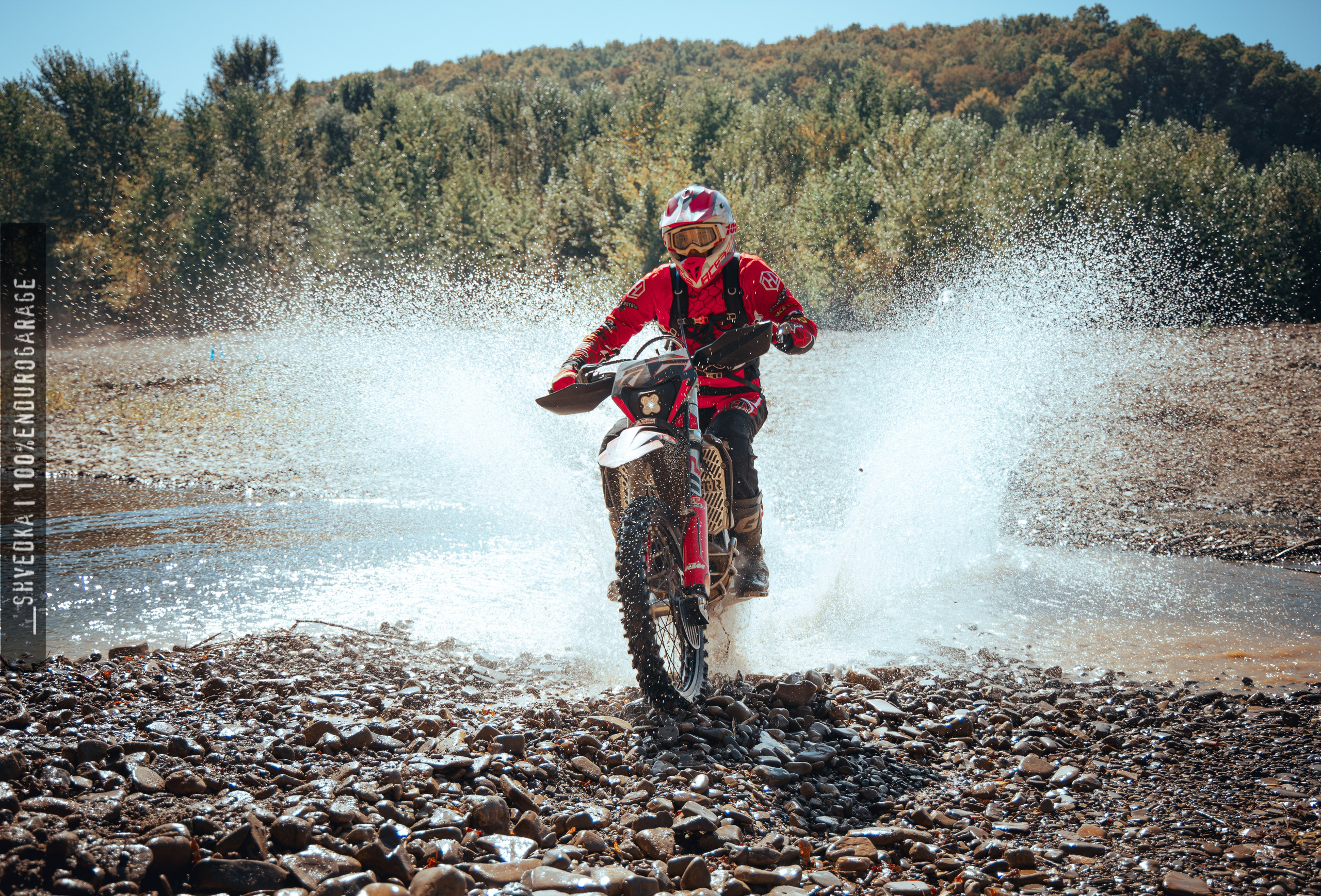 1 лесной день. Ваш экстрим фотограф Кудрева Яна