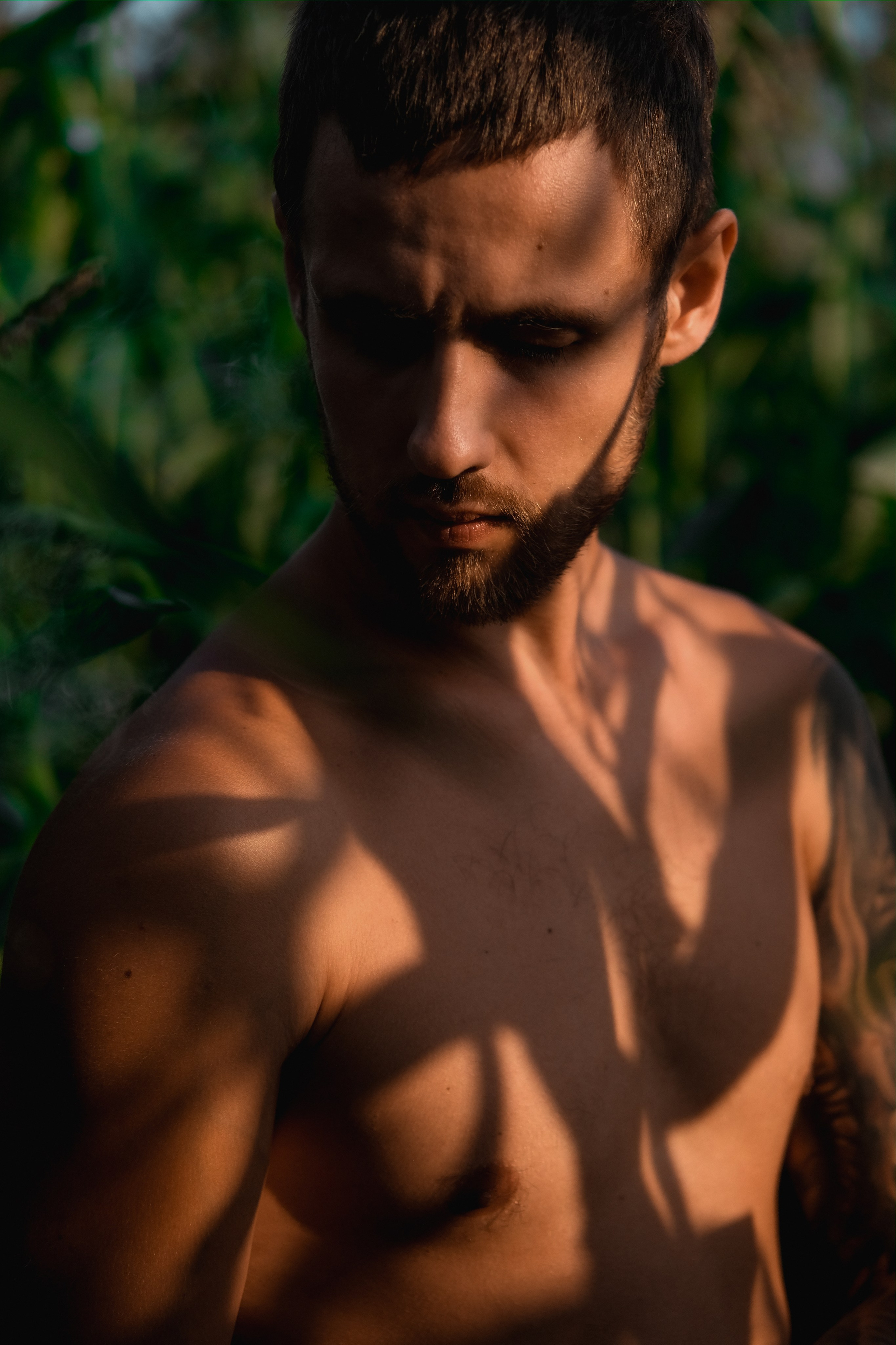 Голый мужчина в кукурузном поле. Фотограф и контентмейкер Света Лето | Москва, МО