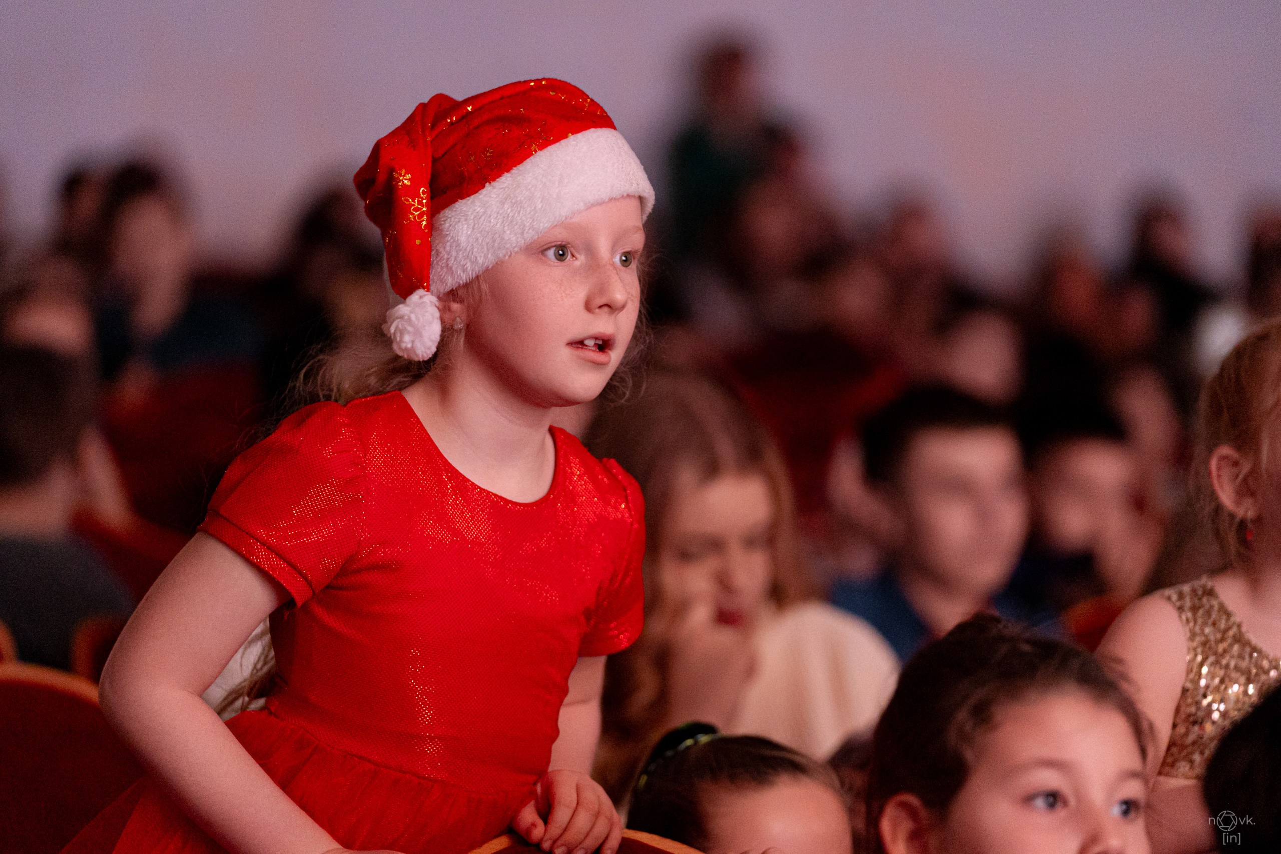 Ёлка. ФОТОГРАФ ИВАН НОВИКОВ | СТАВРОПОЛЬ