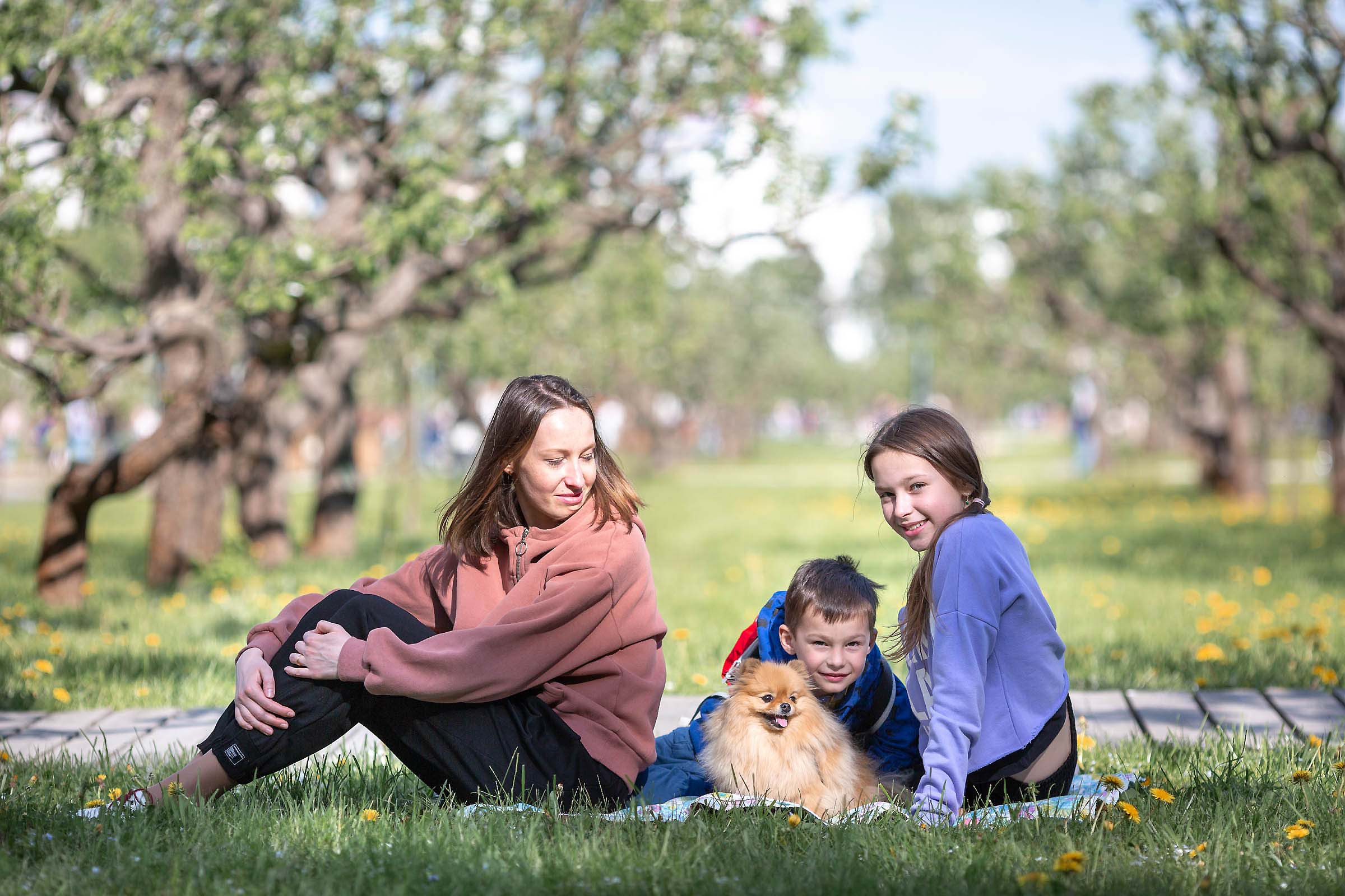 Семейная фотосессия в цветении. Свадебные фотографы в Москве: Денис и Елена Пройдовы