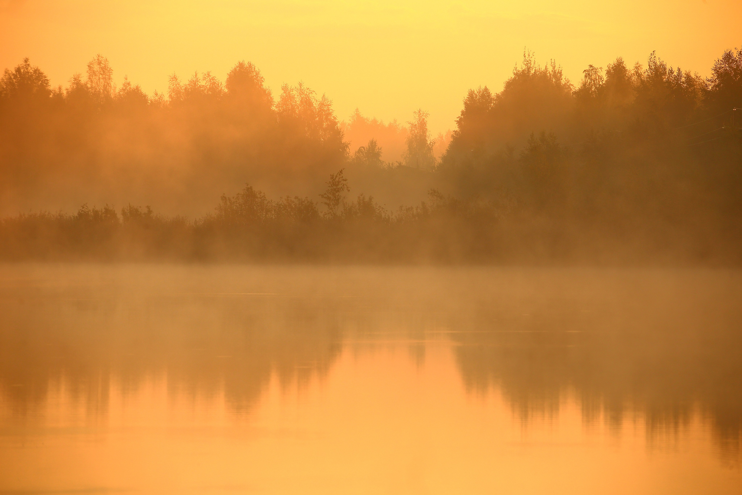 Туманным утром. Свадебный и репортажный фотограф в Ярославле и Санкт-Петербурге Роман Микрюков