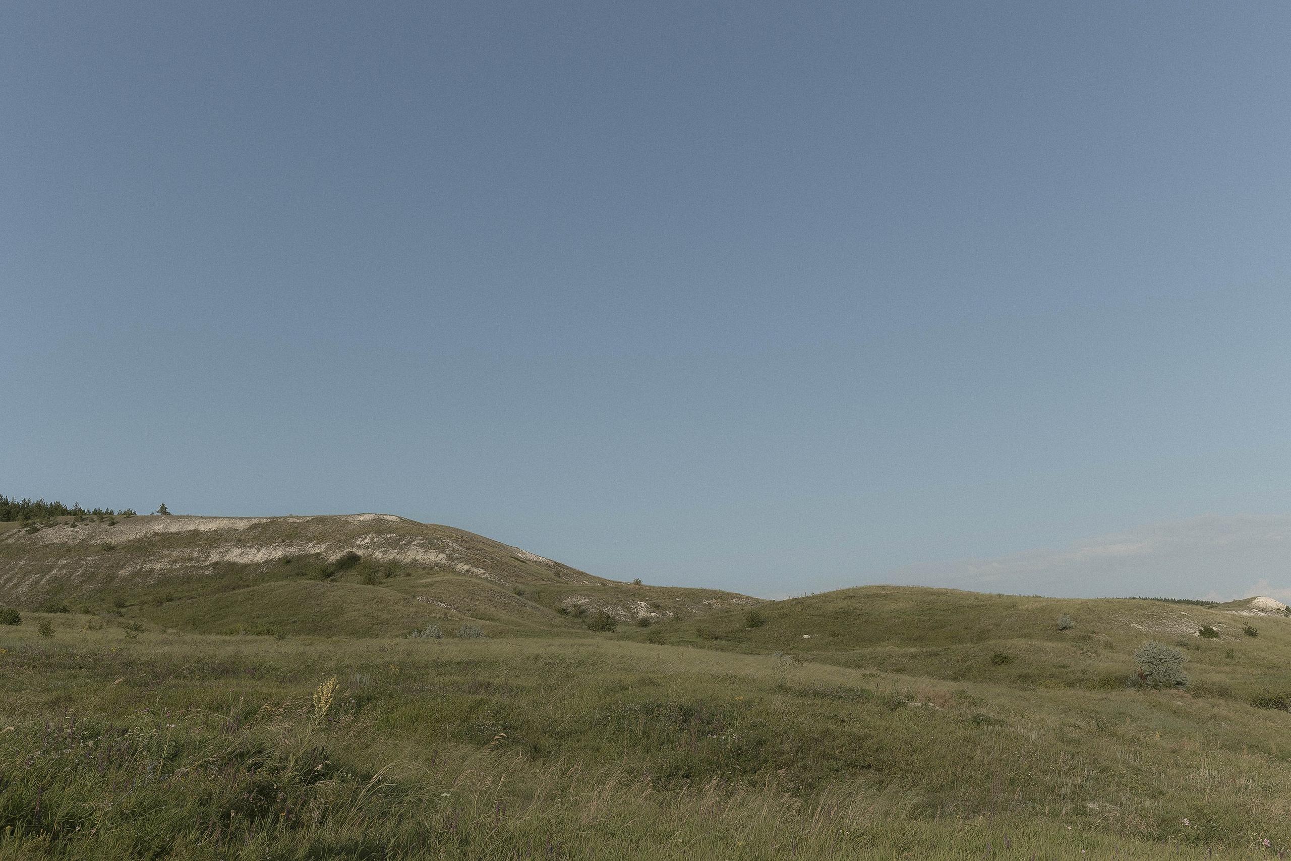 Природа. Свадебный и семейный фотограф в Самаре Стрельникова Ирина