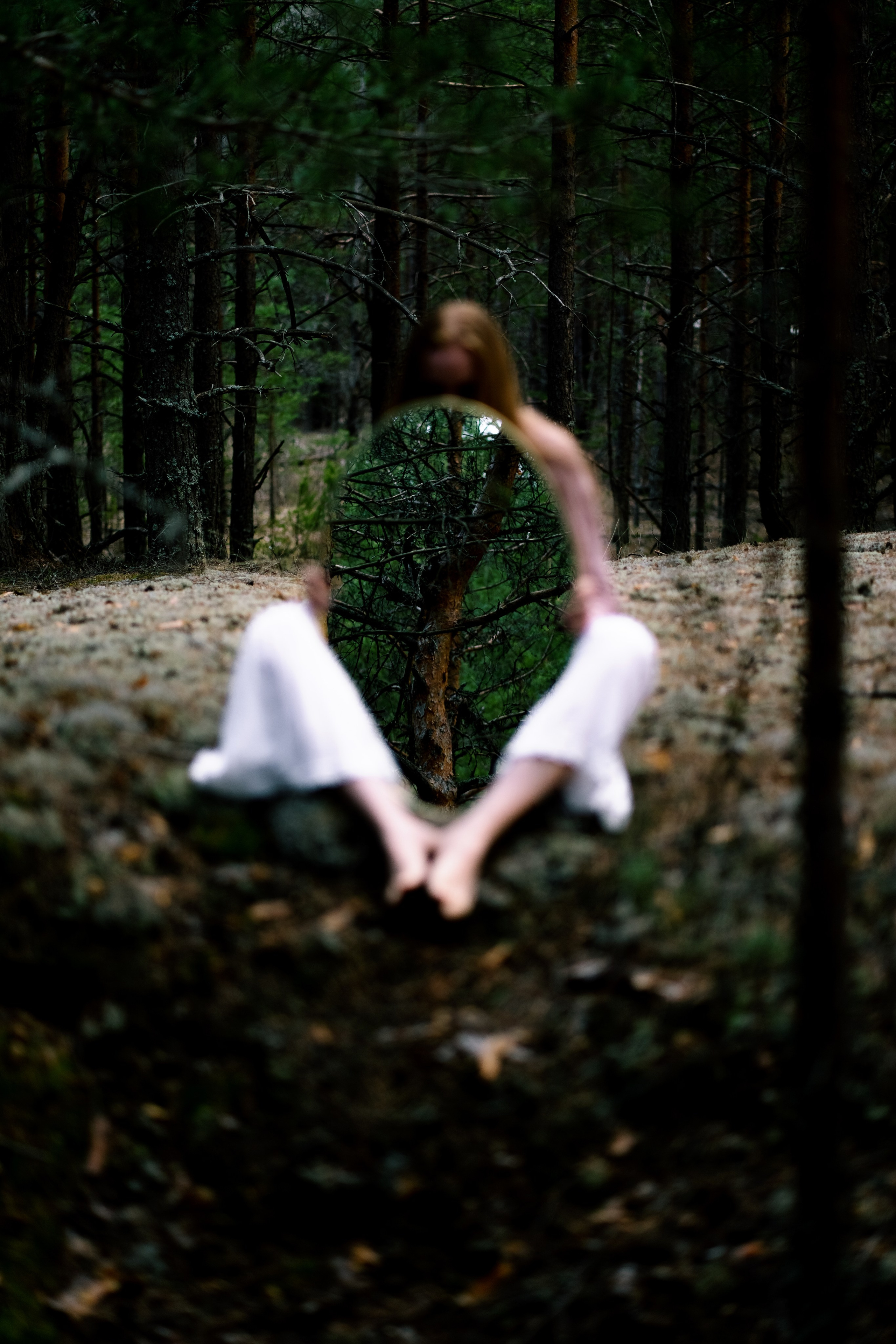 Волшебный лес. Фотограф в Нижнем Новгороде Алексей Уковский