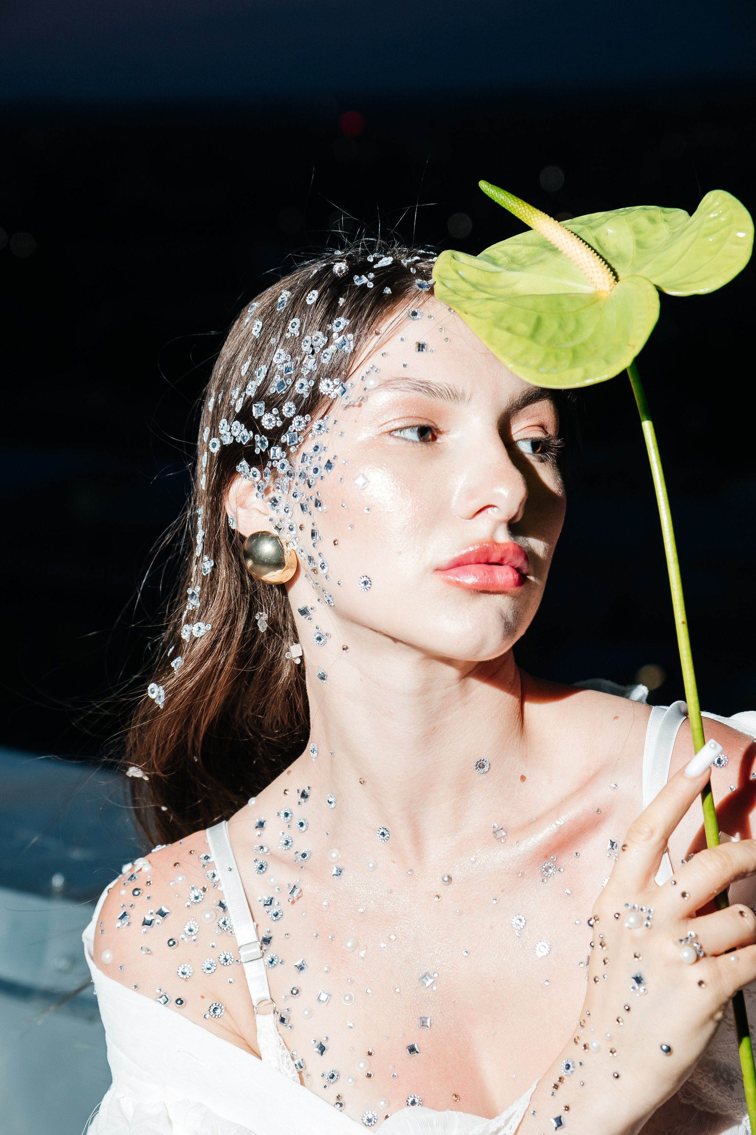 ROOF. Фотограф Александр Бигари