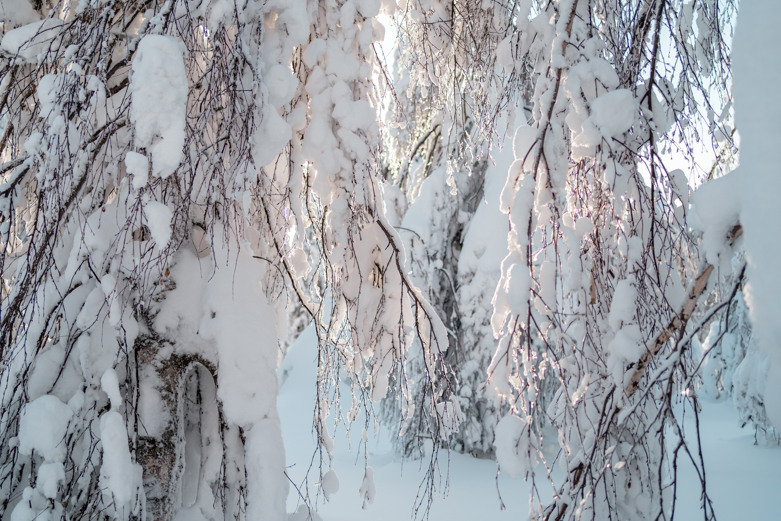 Пермский край. Семейный фотограф Варвара Сорока в городе Москве