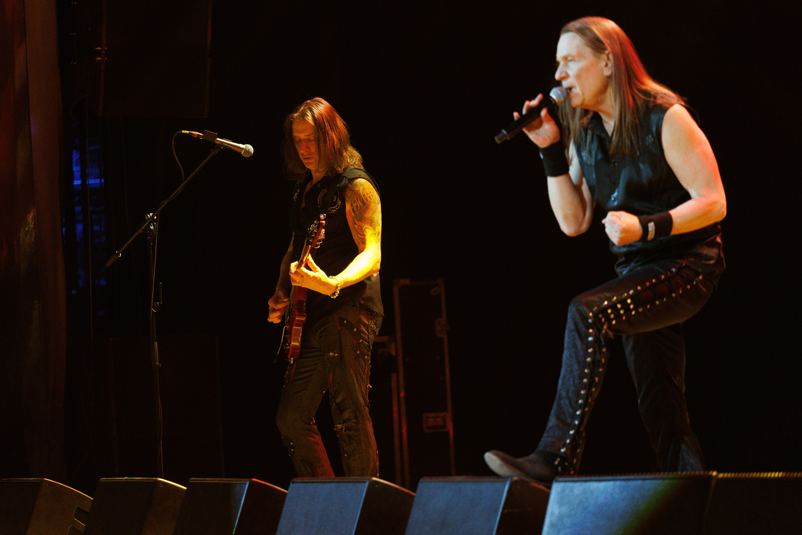 «КИПЕЛОВ». Photomantis