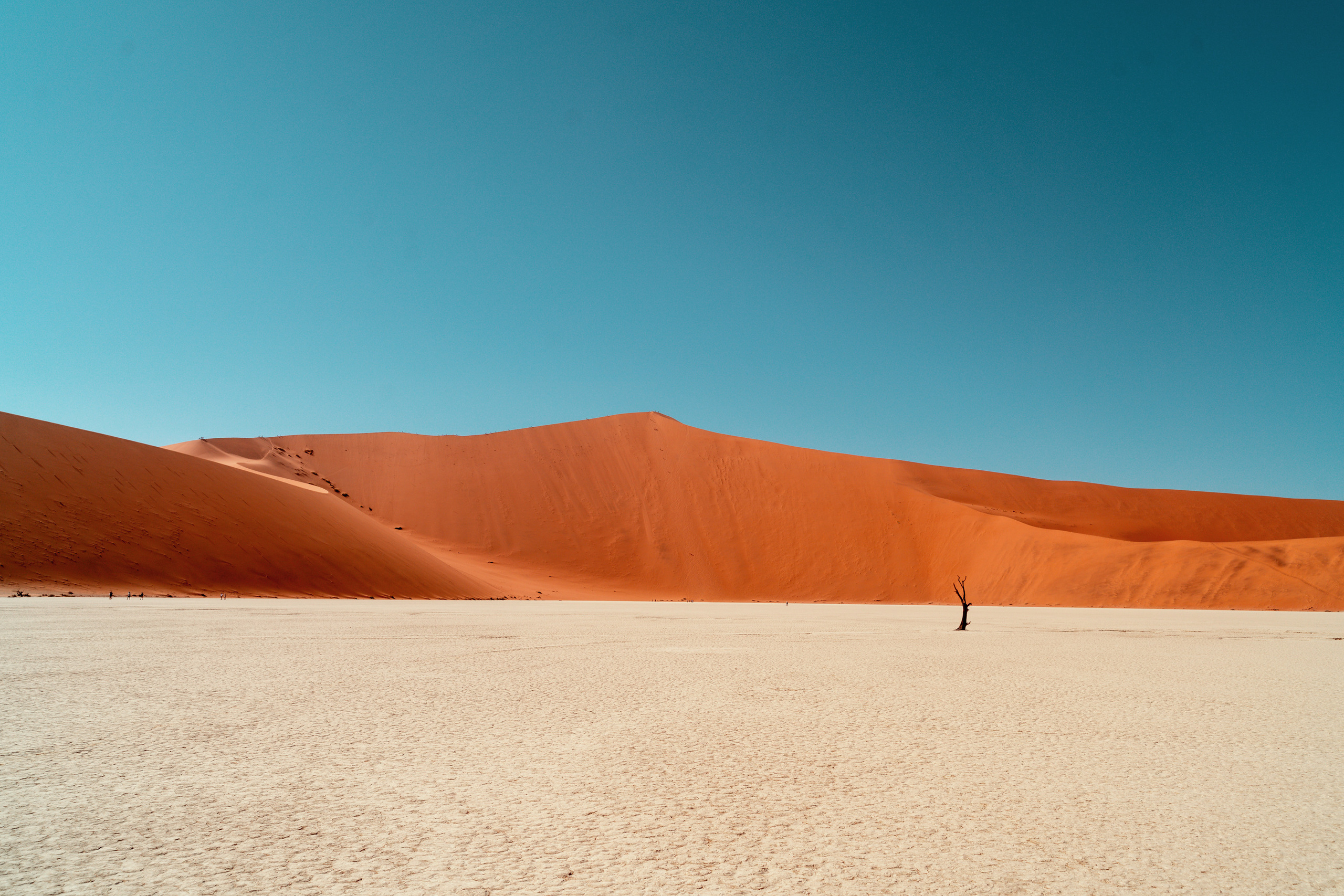 Южная Африка. Фотограф в Хабаровске. Фотография за 24 часа