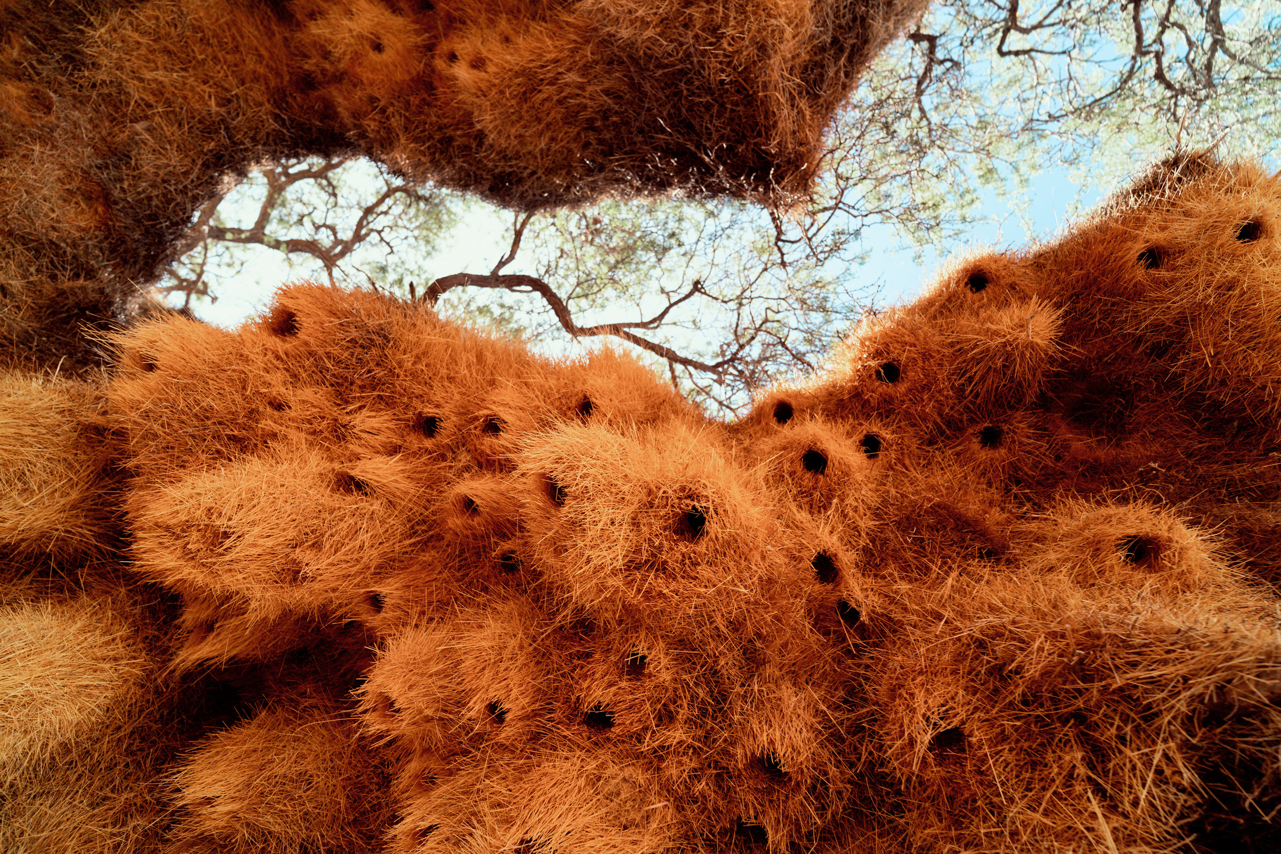 Путешествия. Фотограф в Хабаровске. Фотография за 24 часа