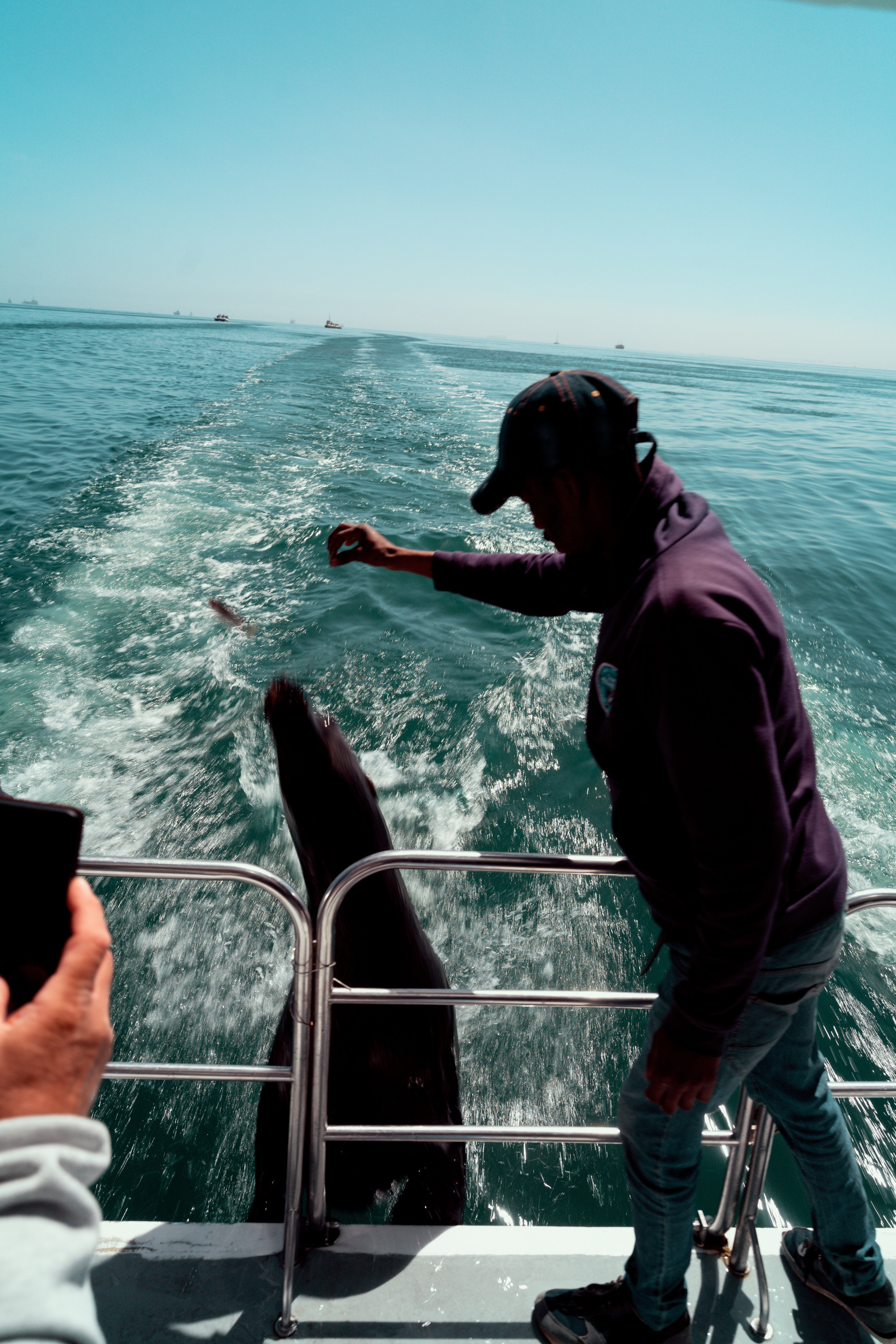 Южная Африка. Фотограф в Хабаровске. Фотография за 24 часа