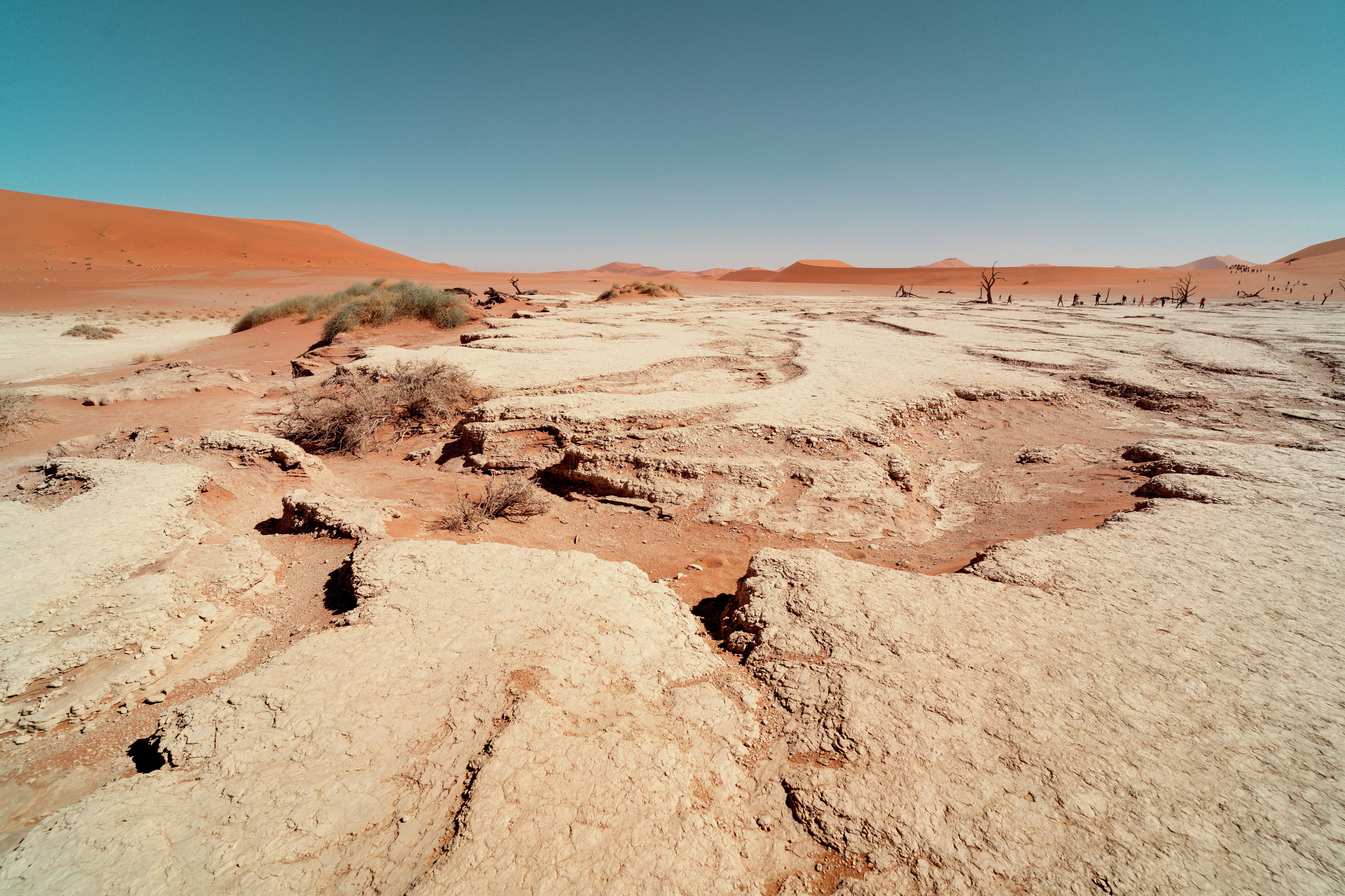 Южная Африка. Фотограф в Хабаровске. Фотография за 24 часа