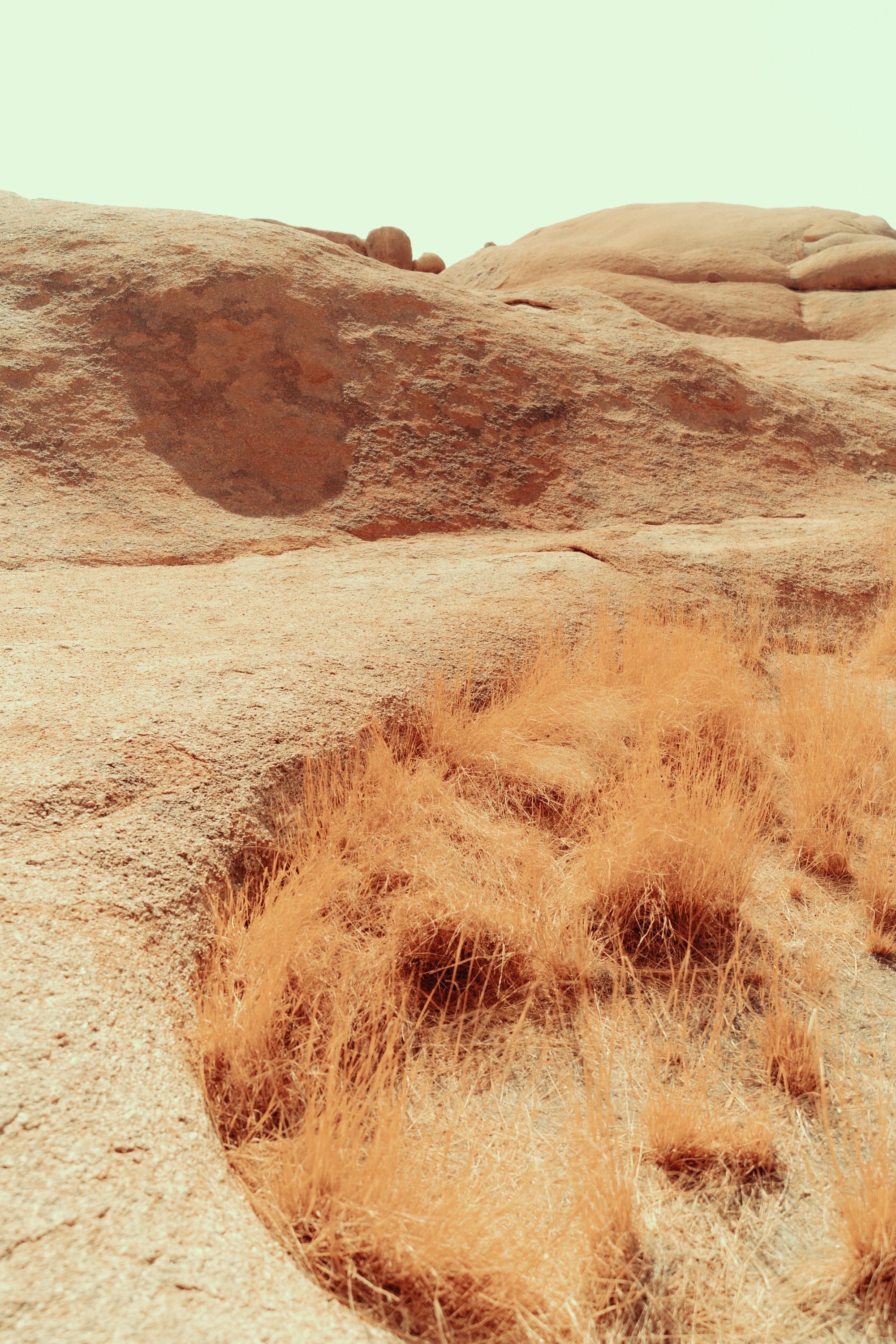 Южная Африка. Фотограф в Хабаровске. Фотография за 24 часа