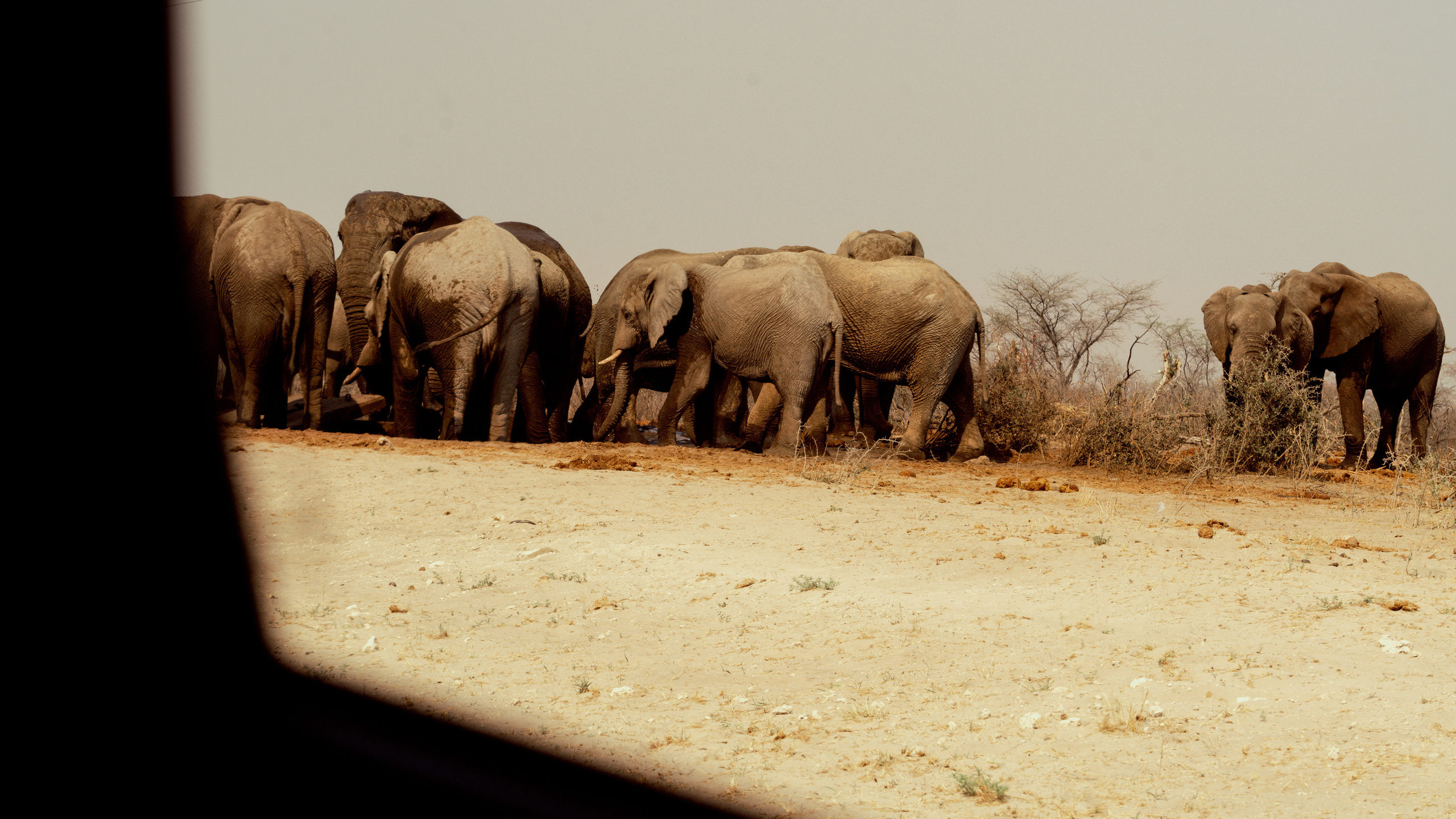 Южная Африка. Фотограф в Хабаровске. Фотография за 24 часа