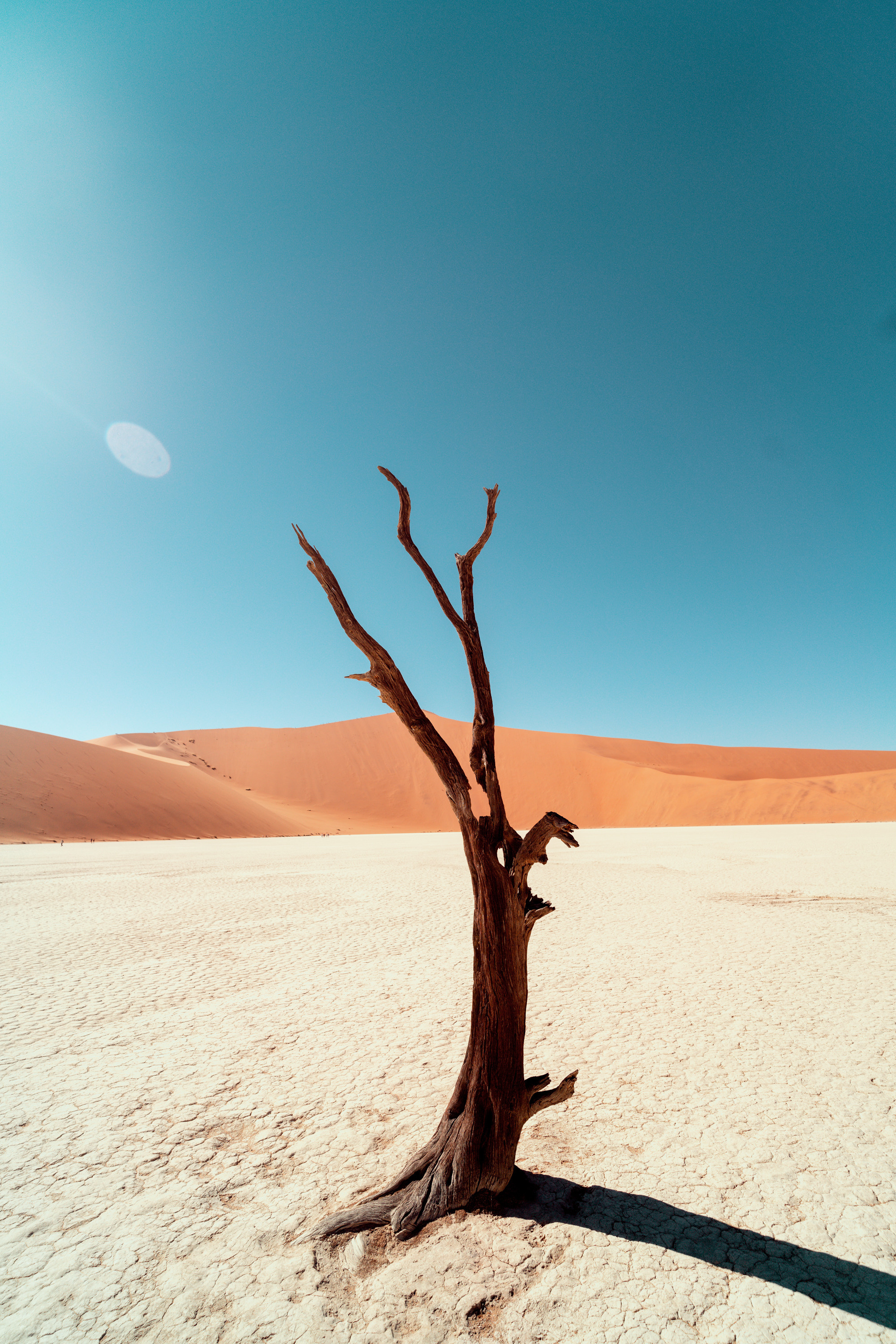 Южная Африка. Фотограф в Хабаровске. Фотография за 24 часа