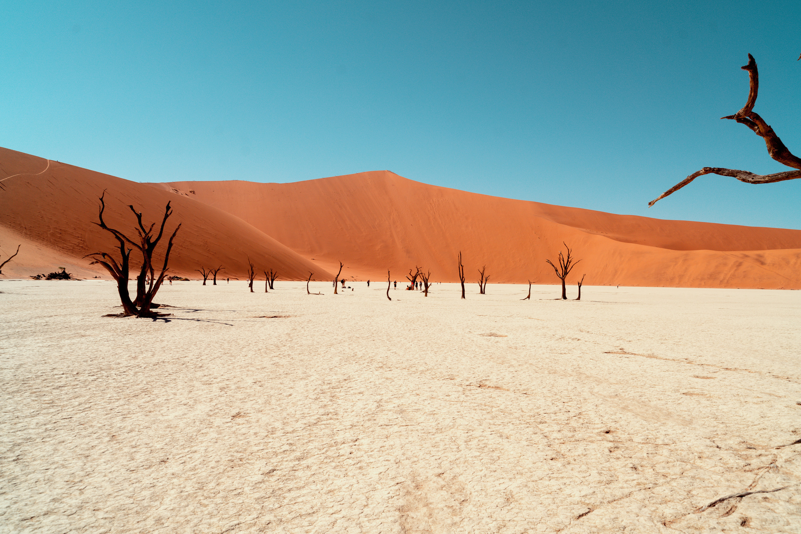 Южная Африка. Фотограф в Хабаровске. Фотография за 24 часа