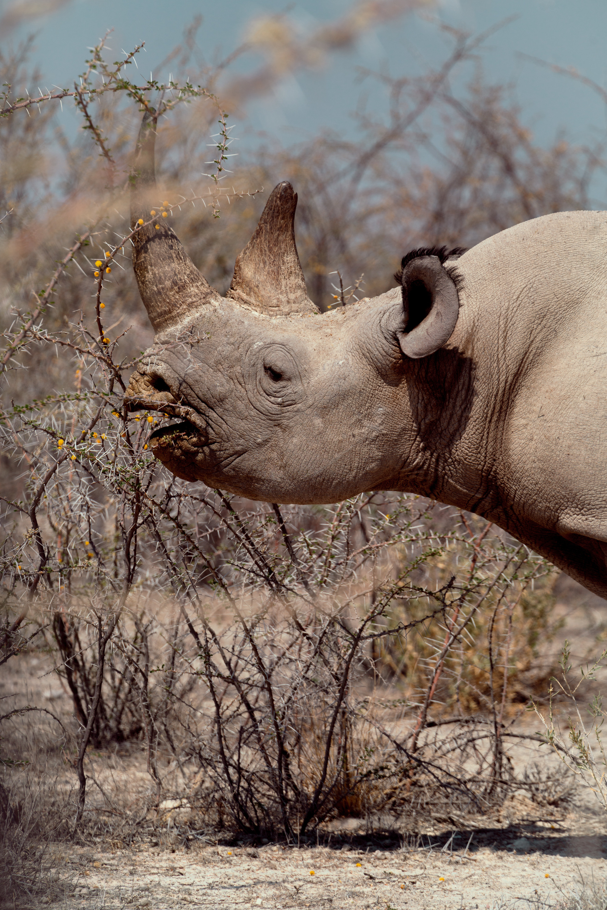 Путешествия. Фотограф в Хабаровске. Фотография за 24 часа