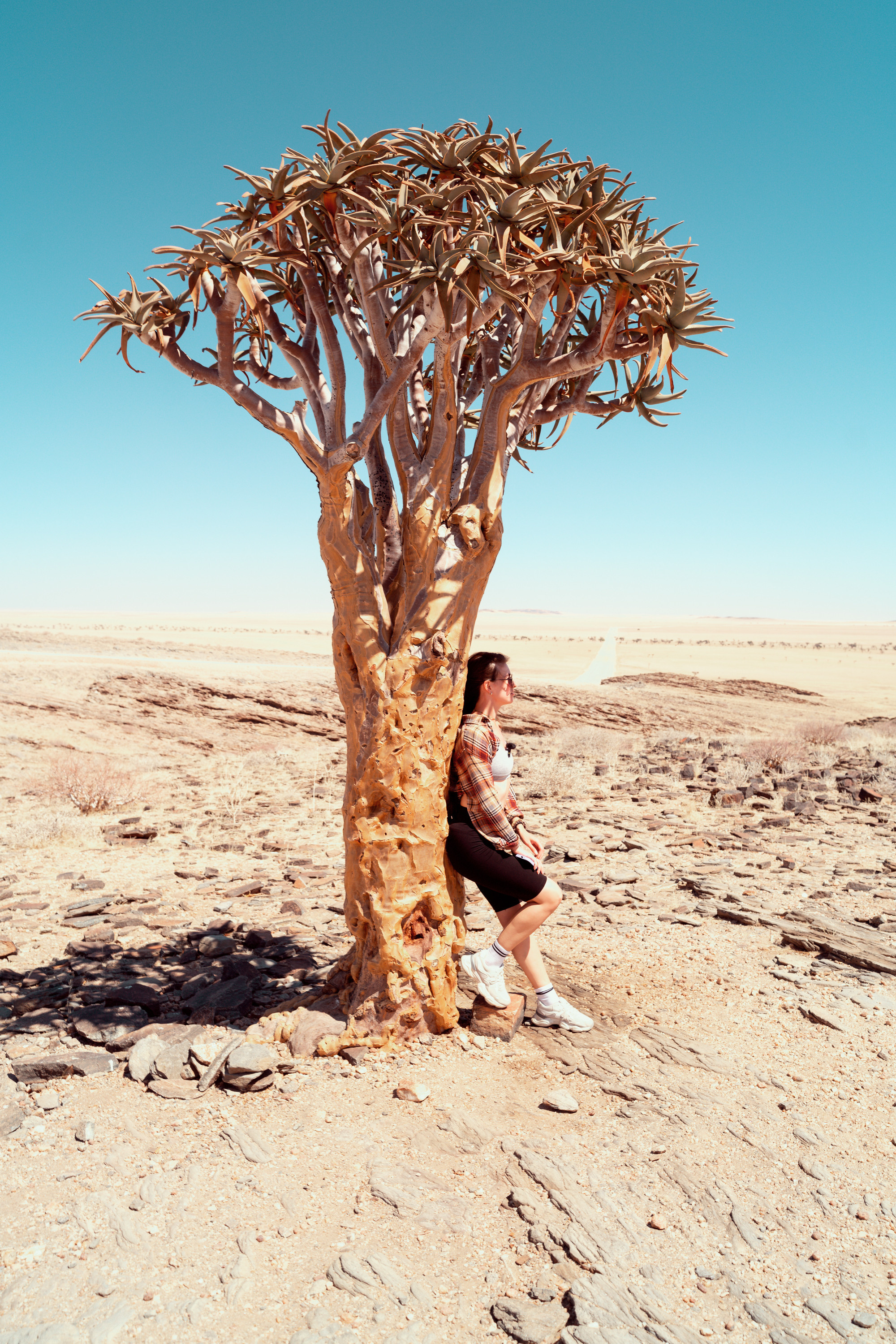 Южная Африка. Фотограф в Хабаровске. Фотография за 24 часа