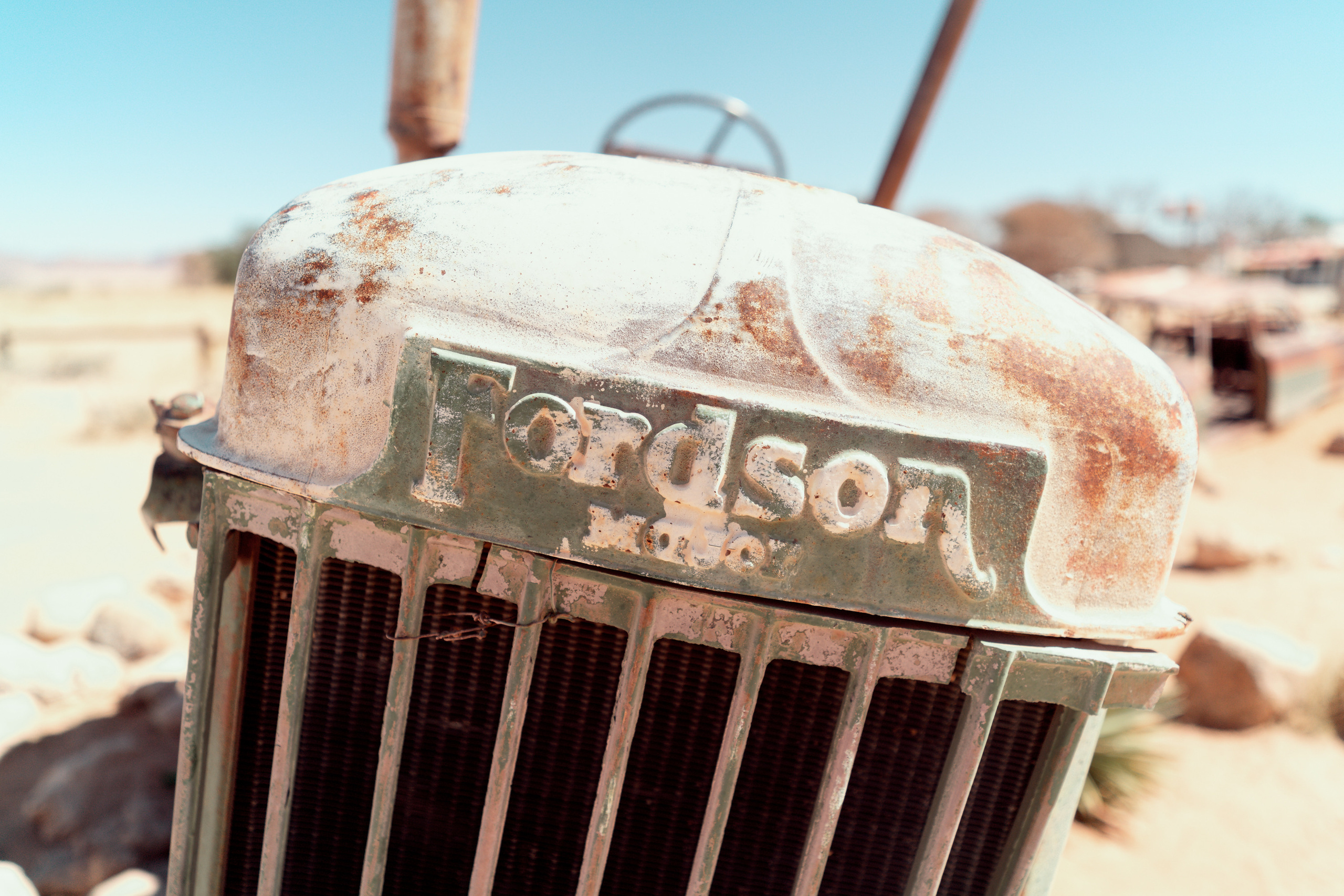 Южная Африка. Фотограф в Хабаровске. Фотография за 24 часа