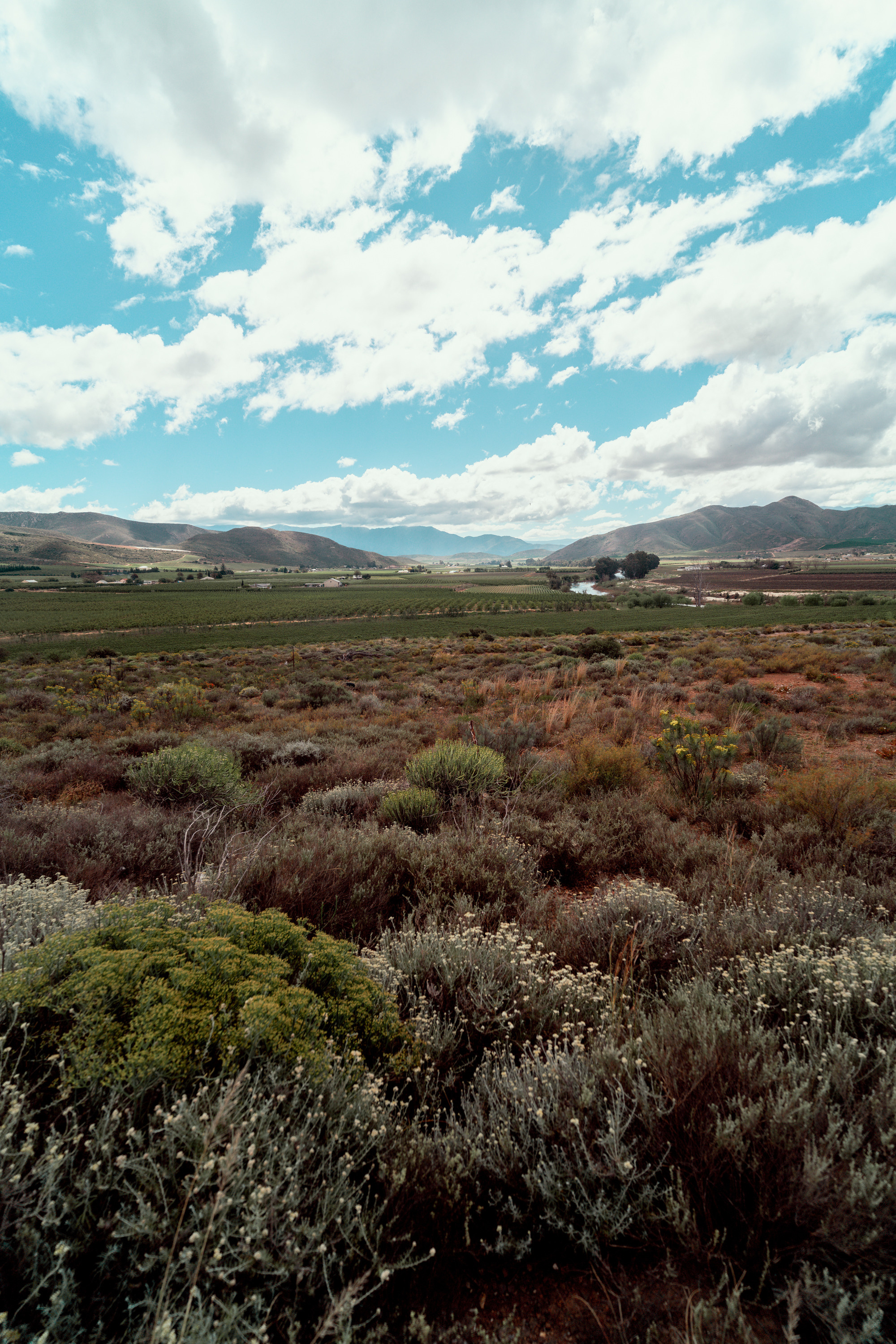 Южная Африка. Фотограф в Хабаровске. Фотография за 24 часа