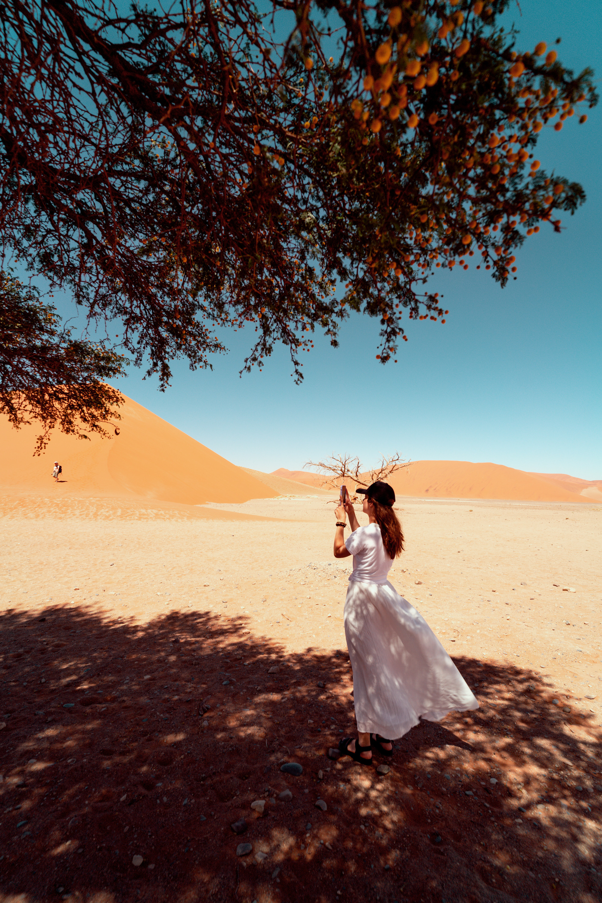 Южная Африка. Фотограф в Хабаровске. Фотография за 24 часа