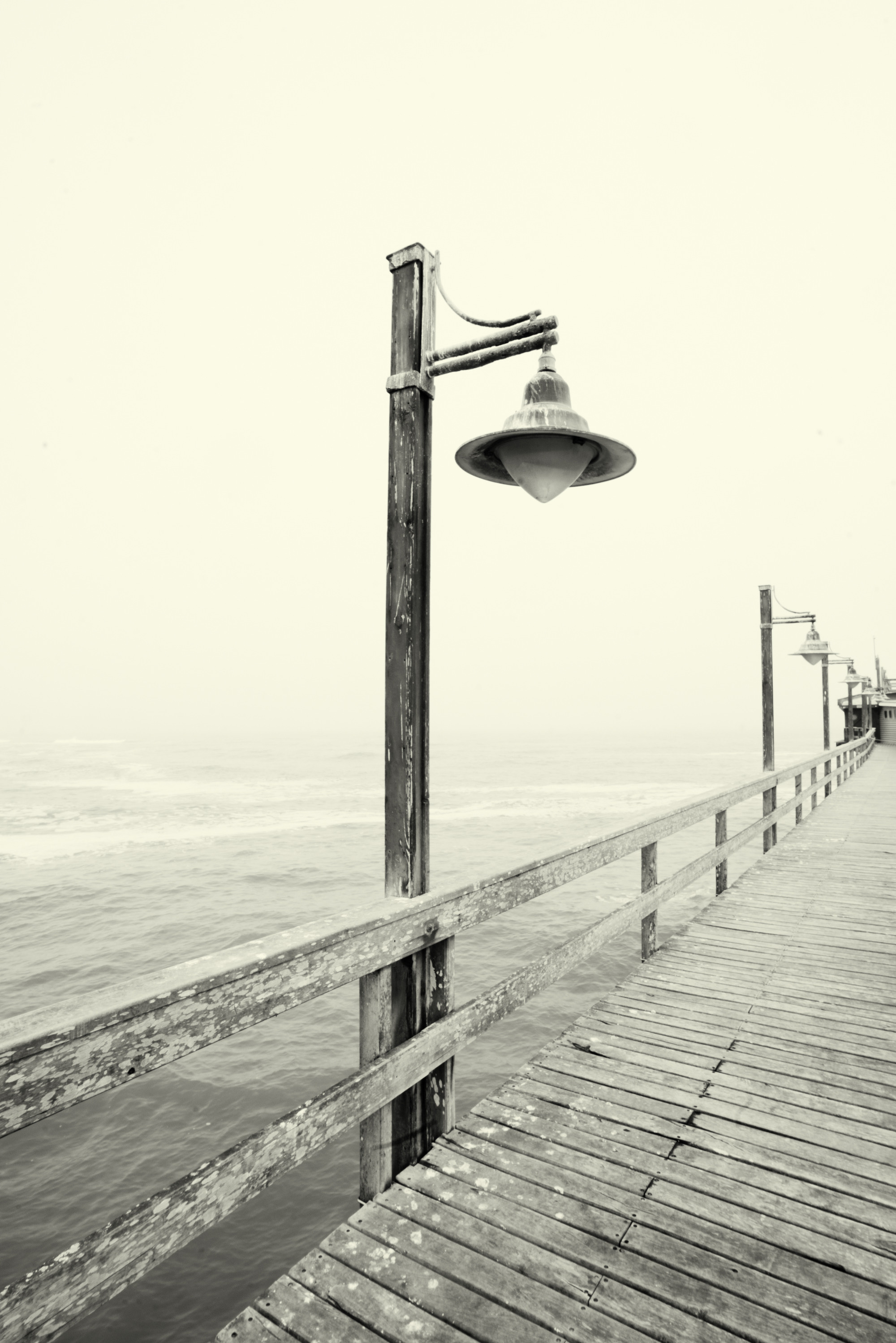 Южная Африка. Фотограф в Хабаровске. Фотография за 24 часа