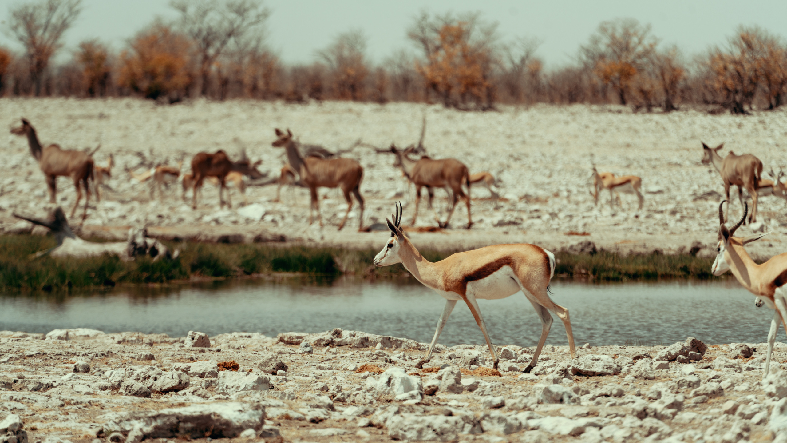 Путешествия. Фотограф в Хабаровске. Фотография за 24 часа
