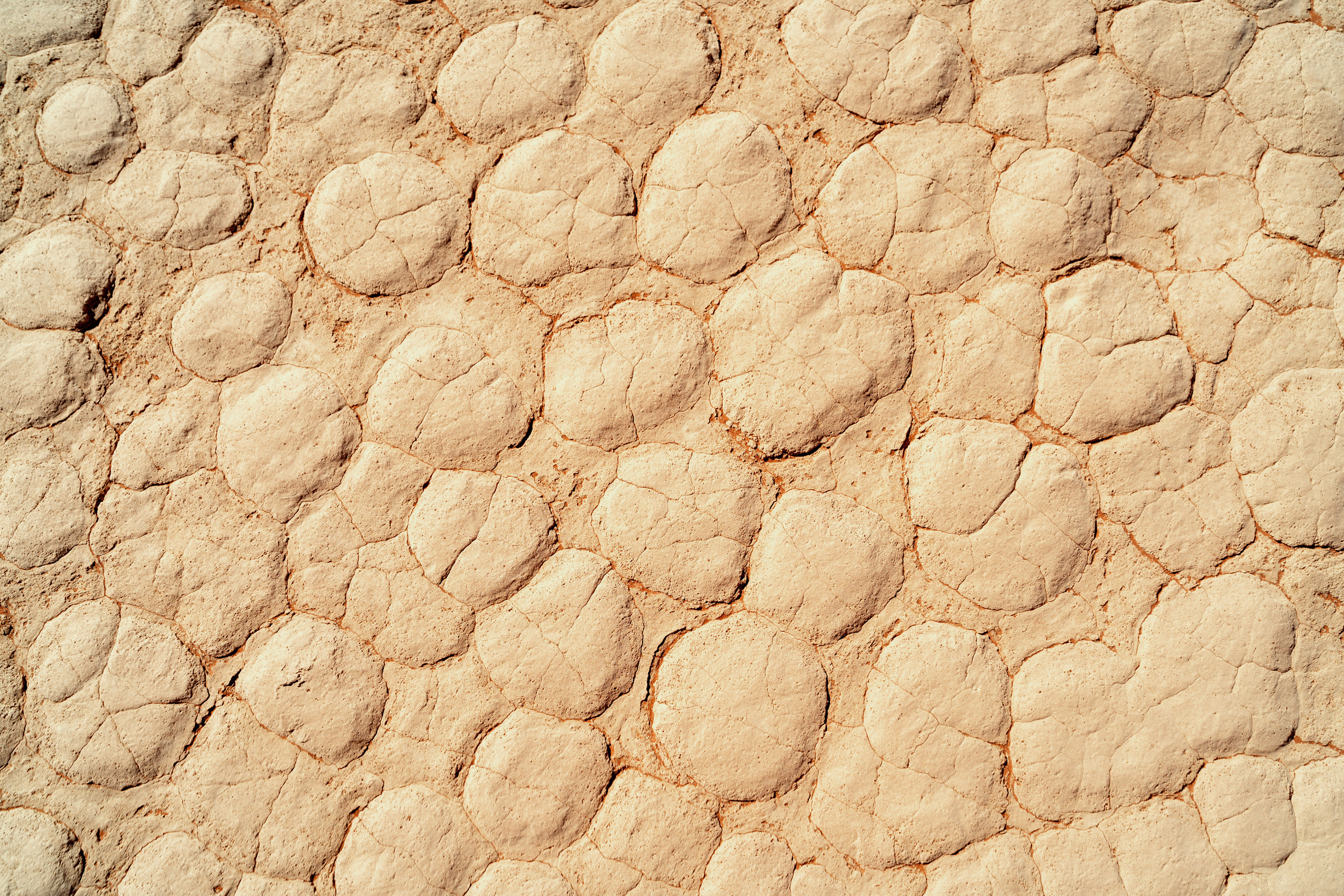 Южная Африка. Фотограф в Хабаровске. Фотография за 24 часа