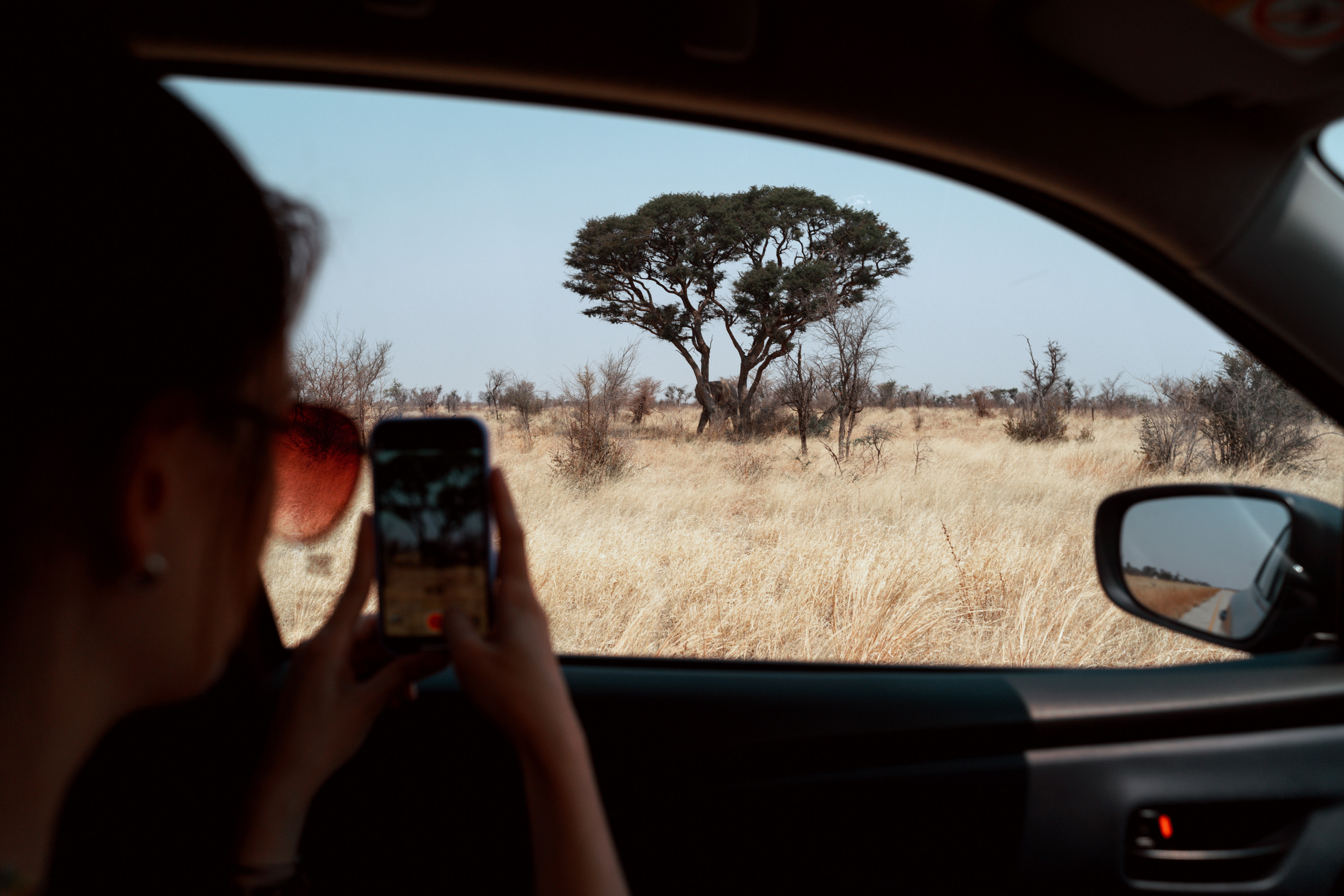 Южная Африка. Фотограф в Хабаровске. Фотография за 24 часа