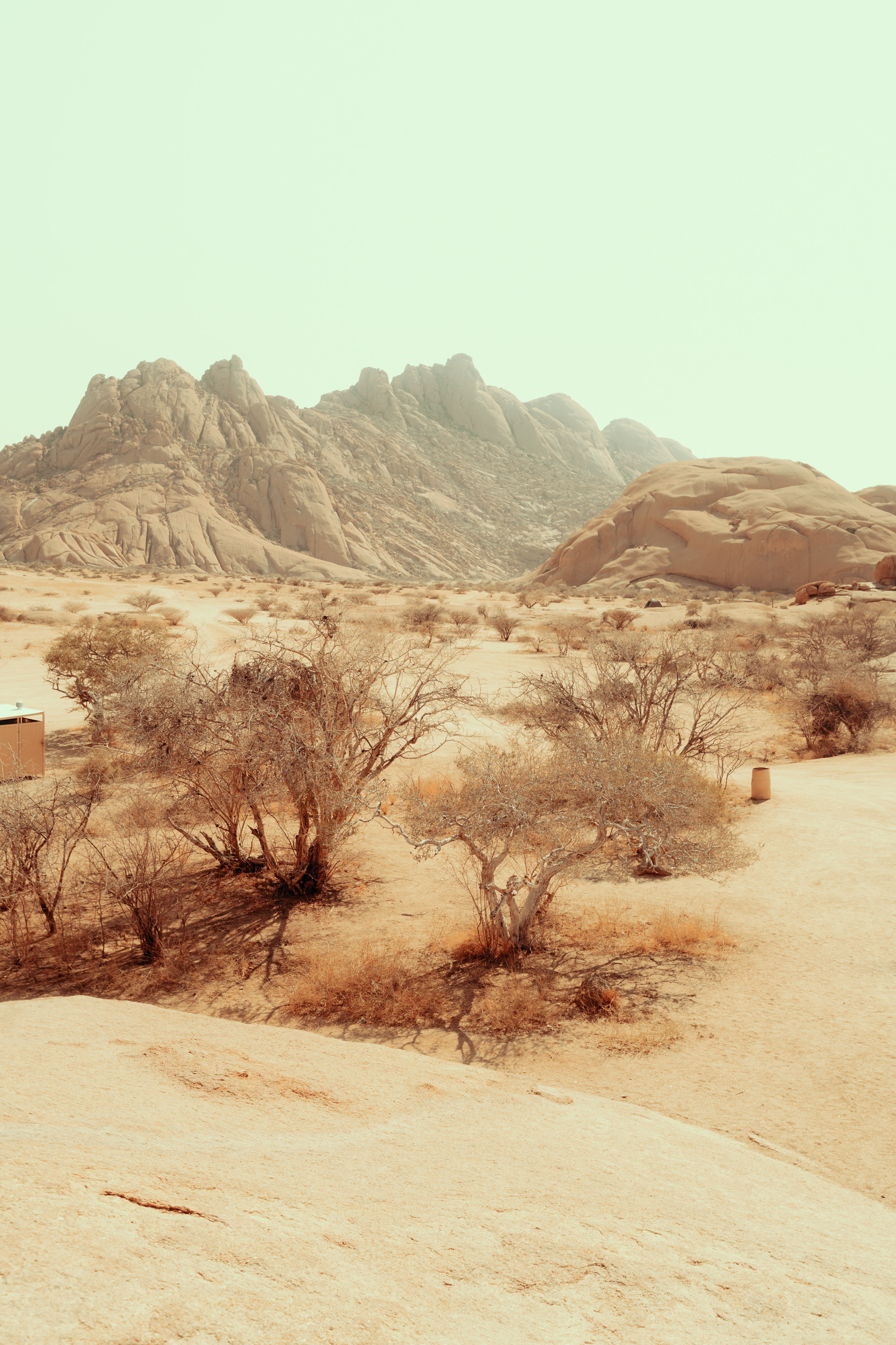 Южная Африка. Фотограф в Хабаровске. Фотография за 24 часа