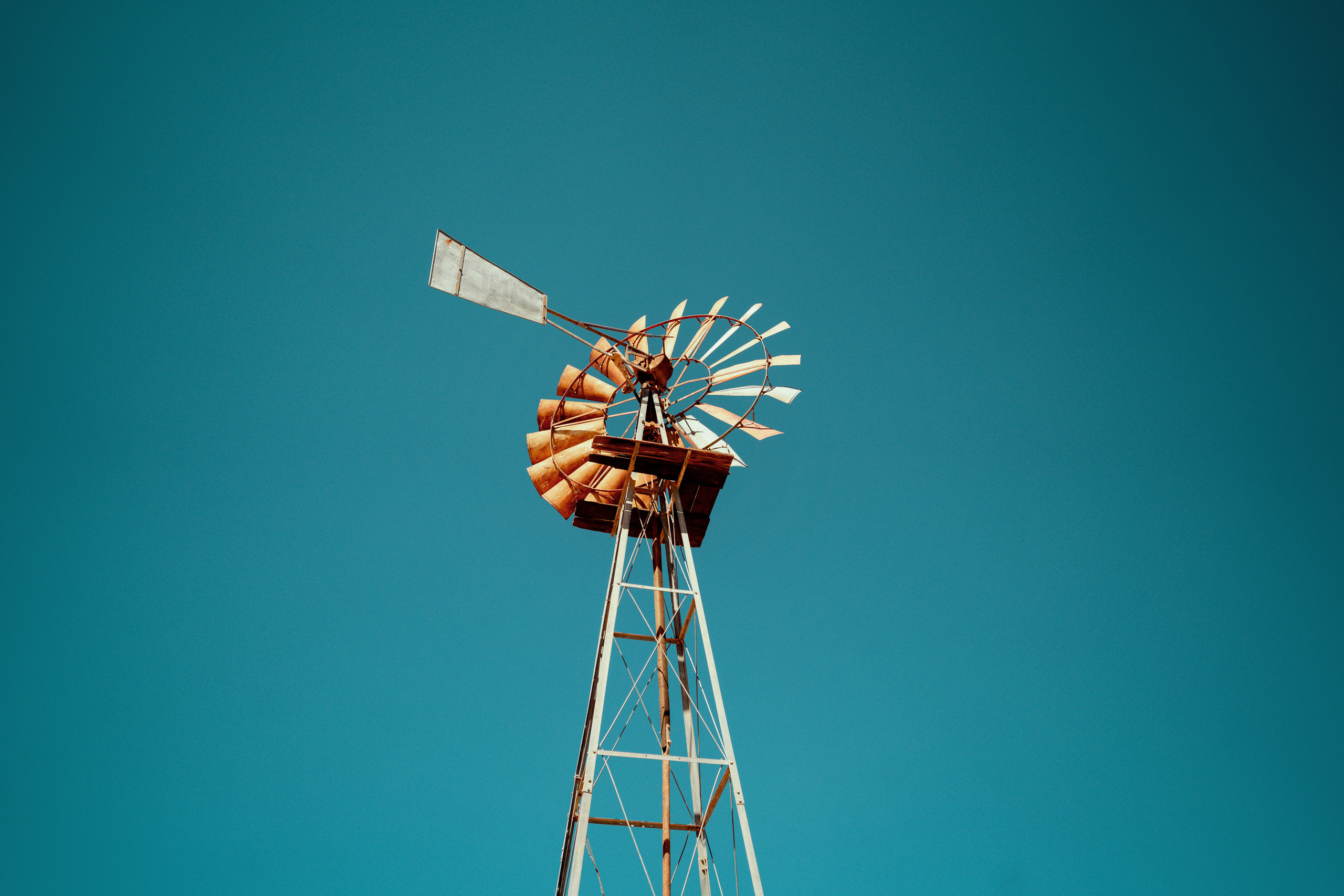 Южная Африка. Фотограф в Хабаровске. Фотография за 24 часа