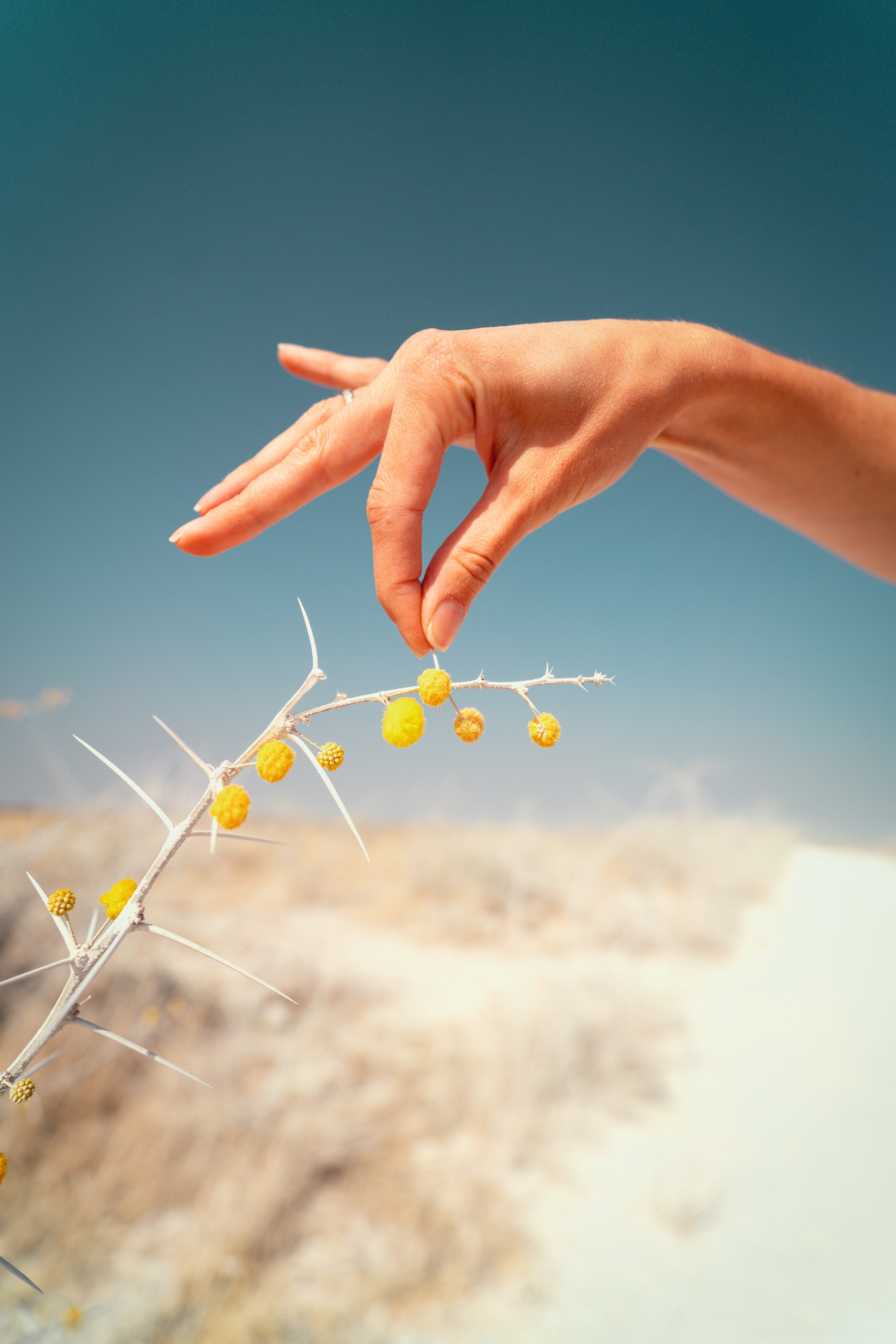 Путешествия. Фотограф в Хабаровске. Фотография за 24 часа