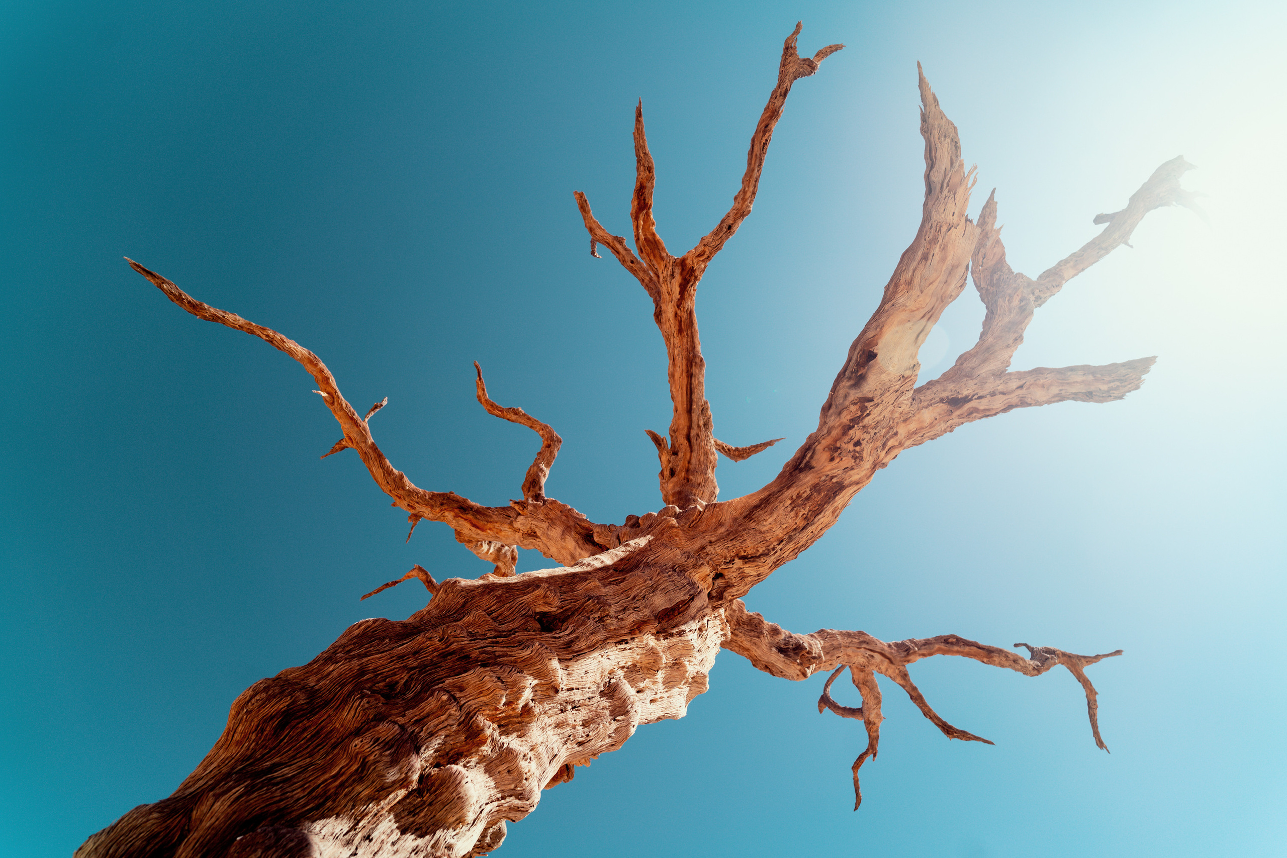 Южная Африка. Фотограф в Хабаровске. Фотография за 24 часа