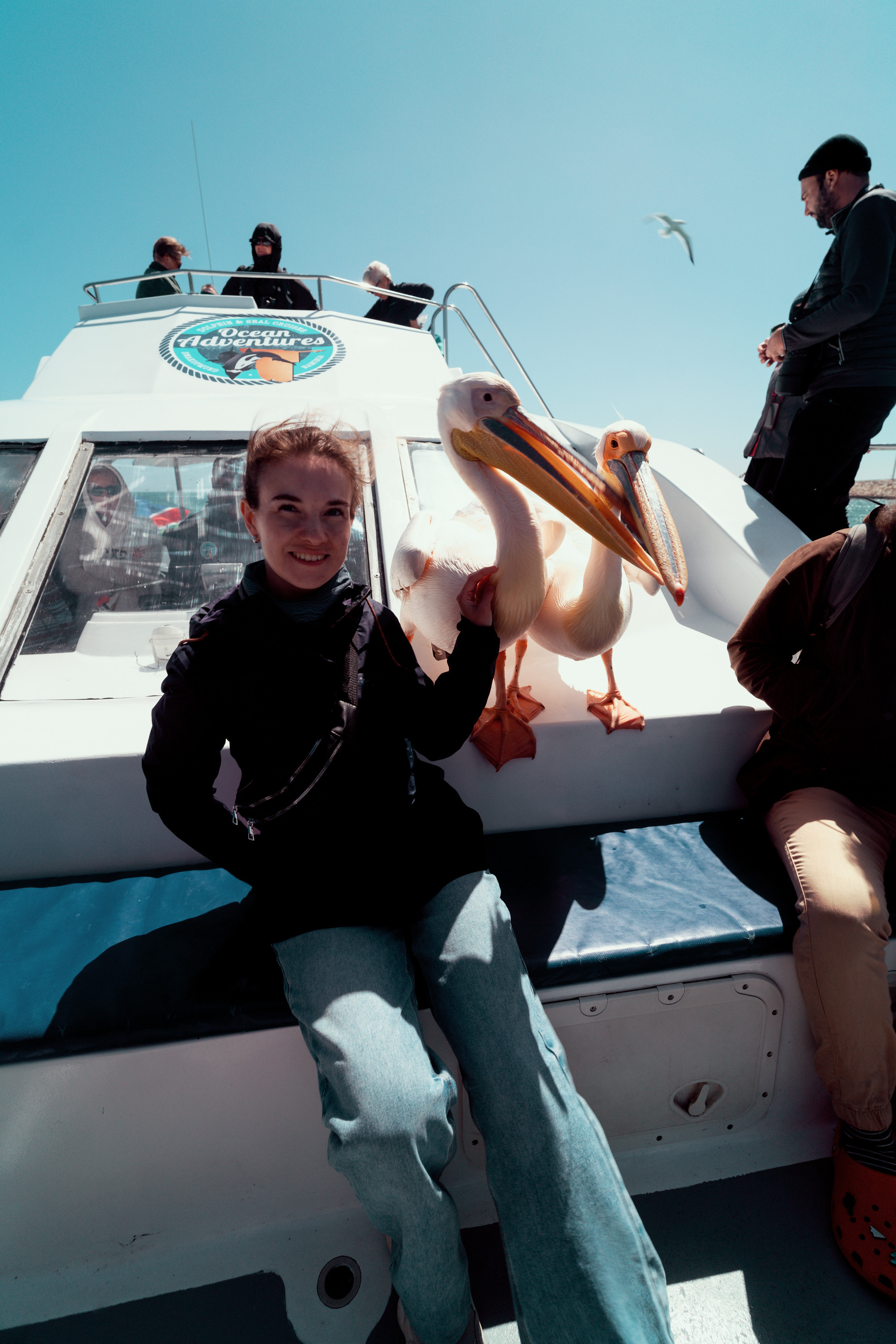 Южная Африка. Фотограф в Хабаровске. Фотография за 24 часа