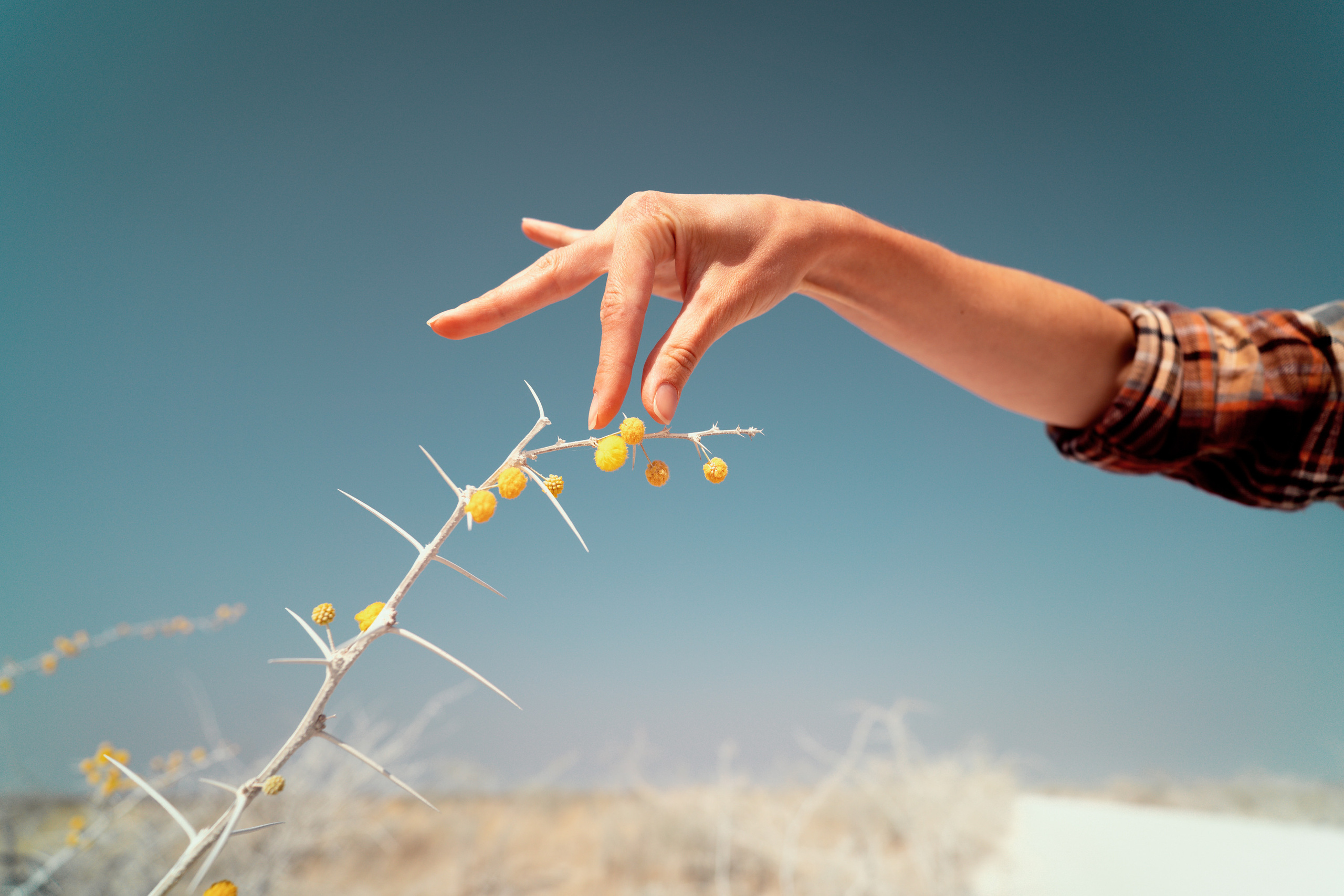 Южная Африка. Фотограф в Хабаровске. Фотография за 24 часа