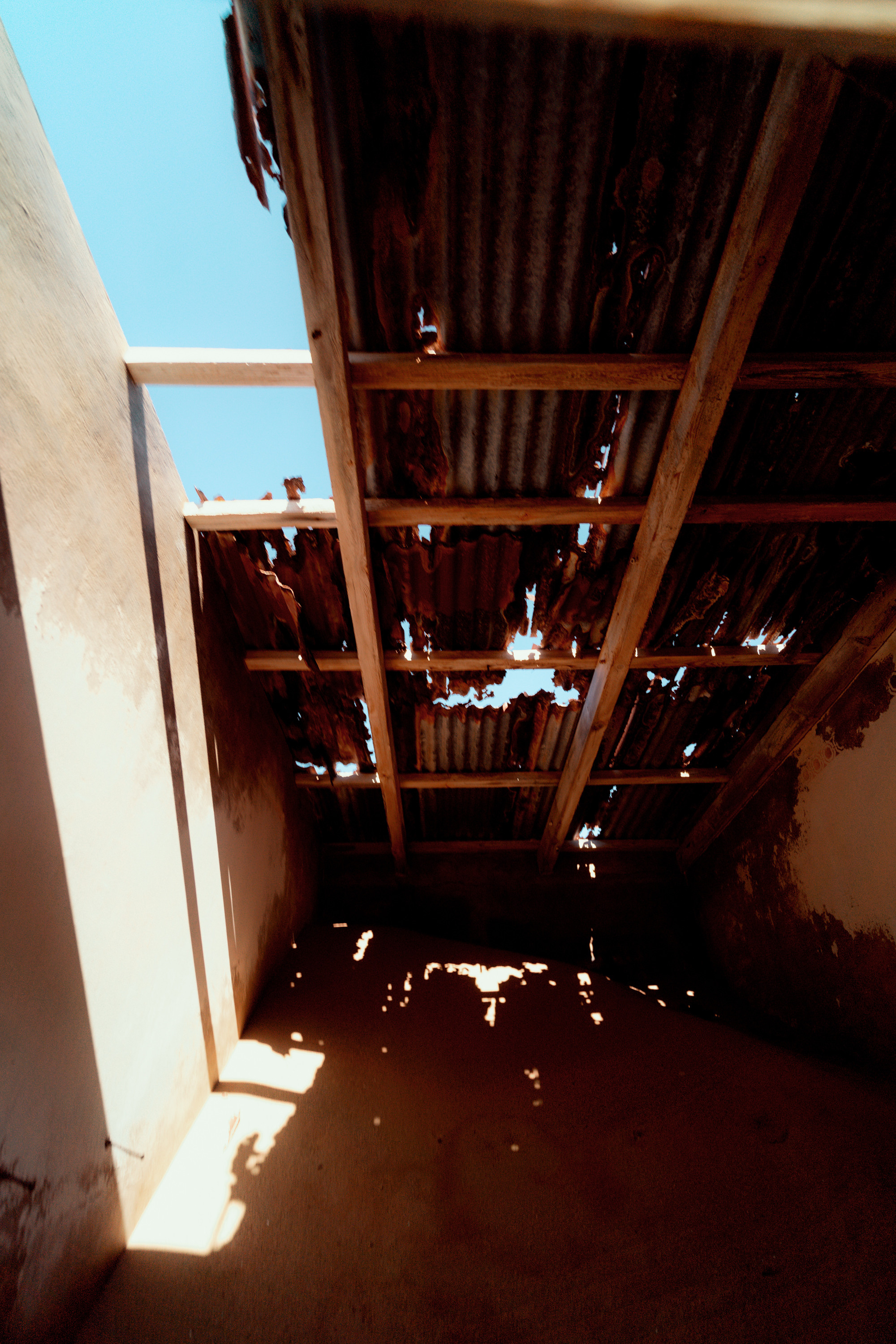 Южная Африка. Фотограф в Хабаровске. Фотография за 24 часа