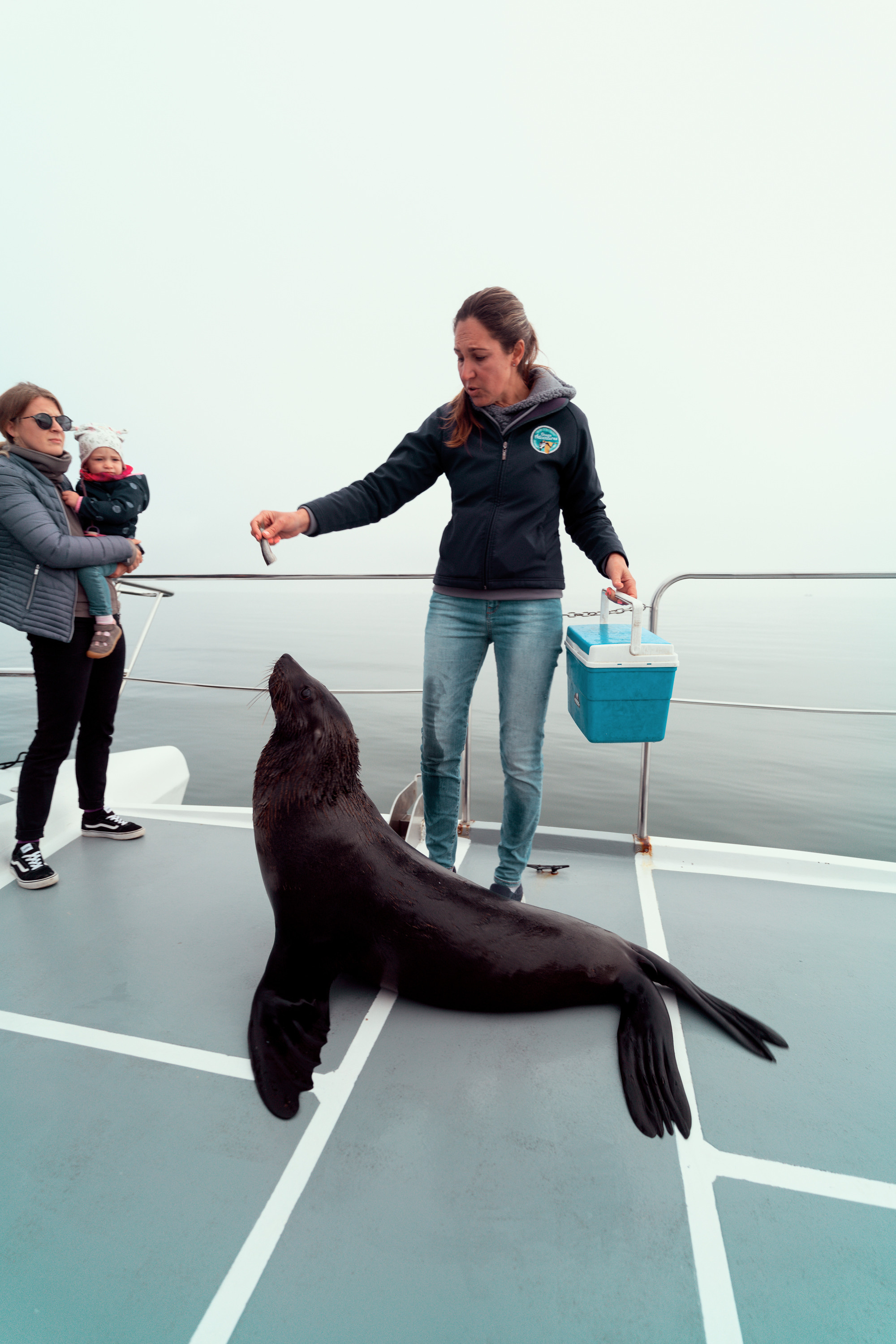 Южная Африка. Фотограф в Хабаровске. Фотография за 24 часа