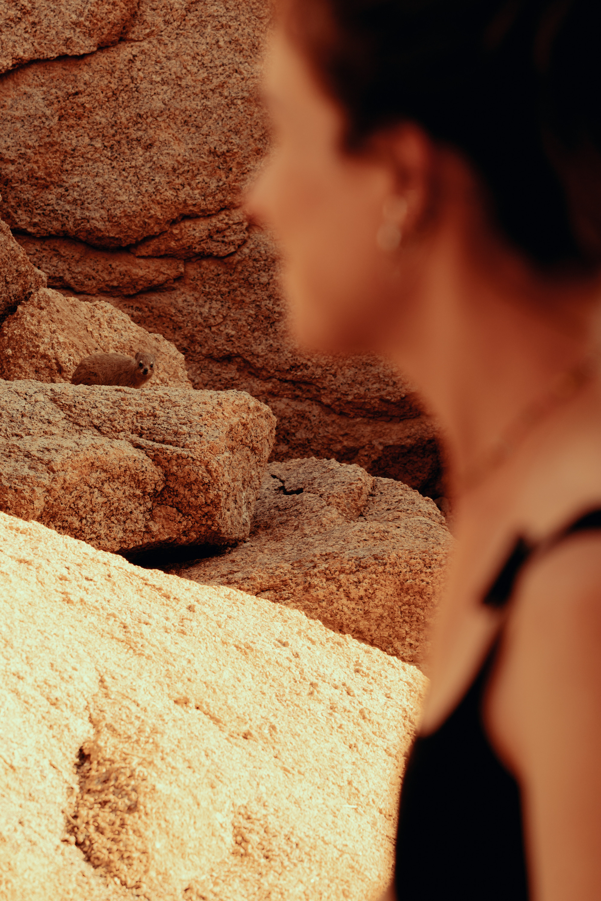 Южная Африка. Фотограф в Хабаровске. Фотография за 24 часа