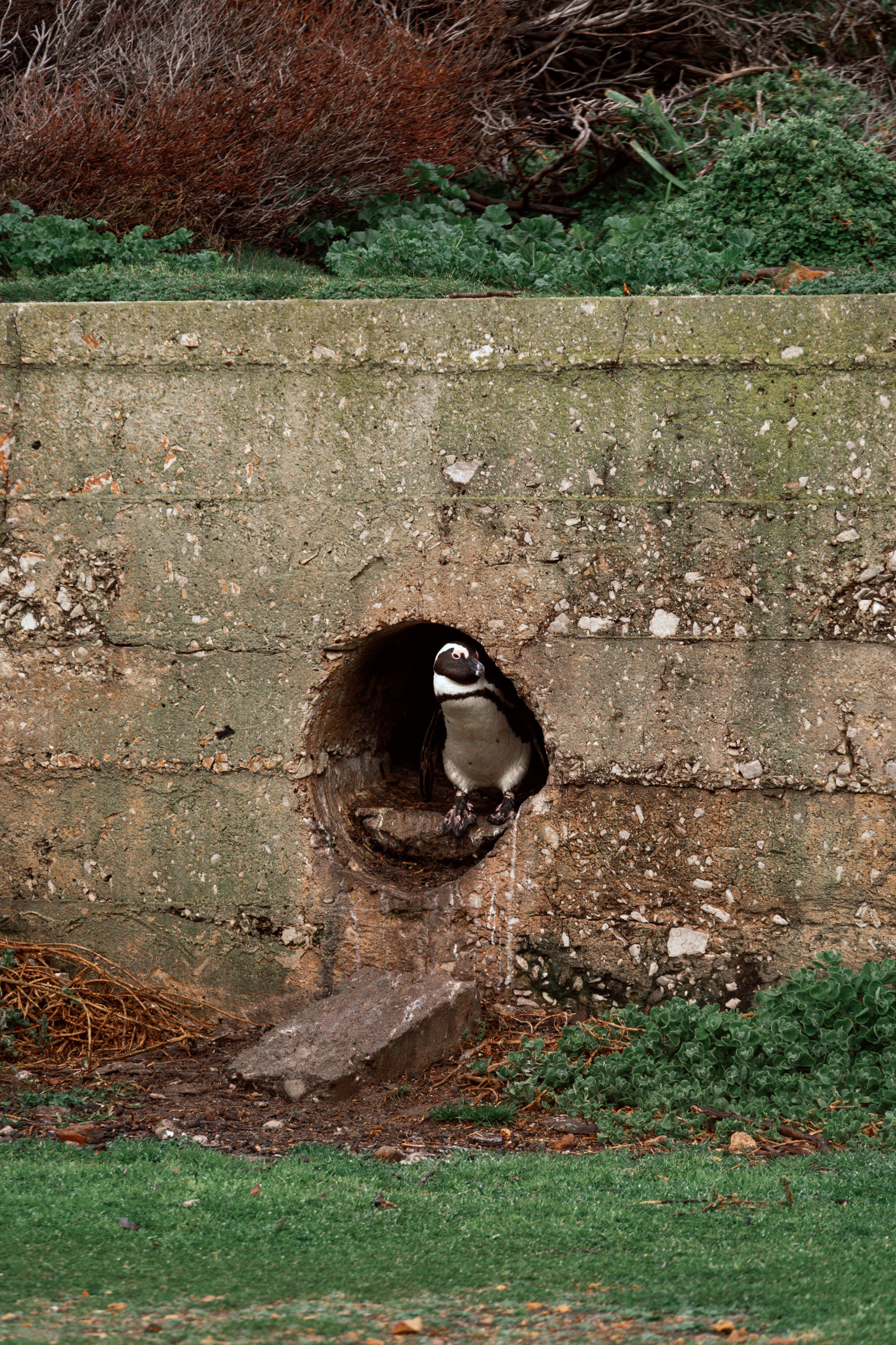 Путешествия. Фотограф в Хабаровске. Фотография за 24 часа