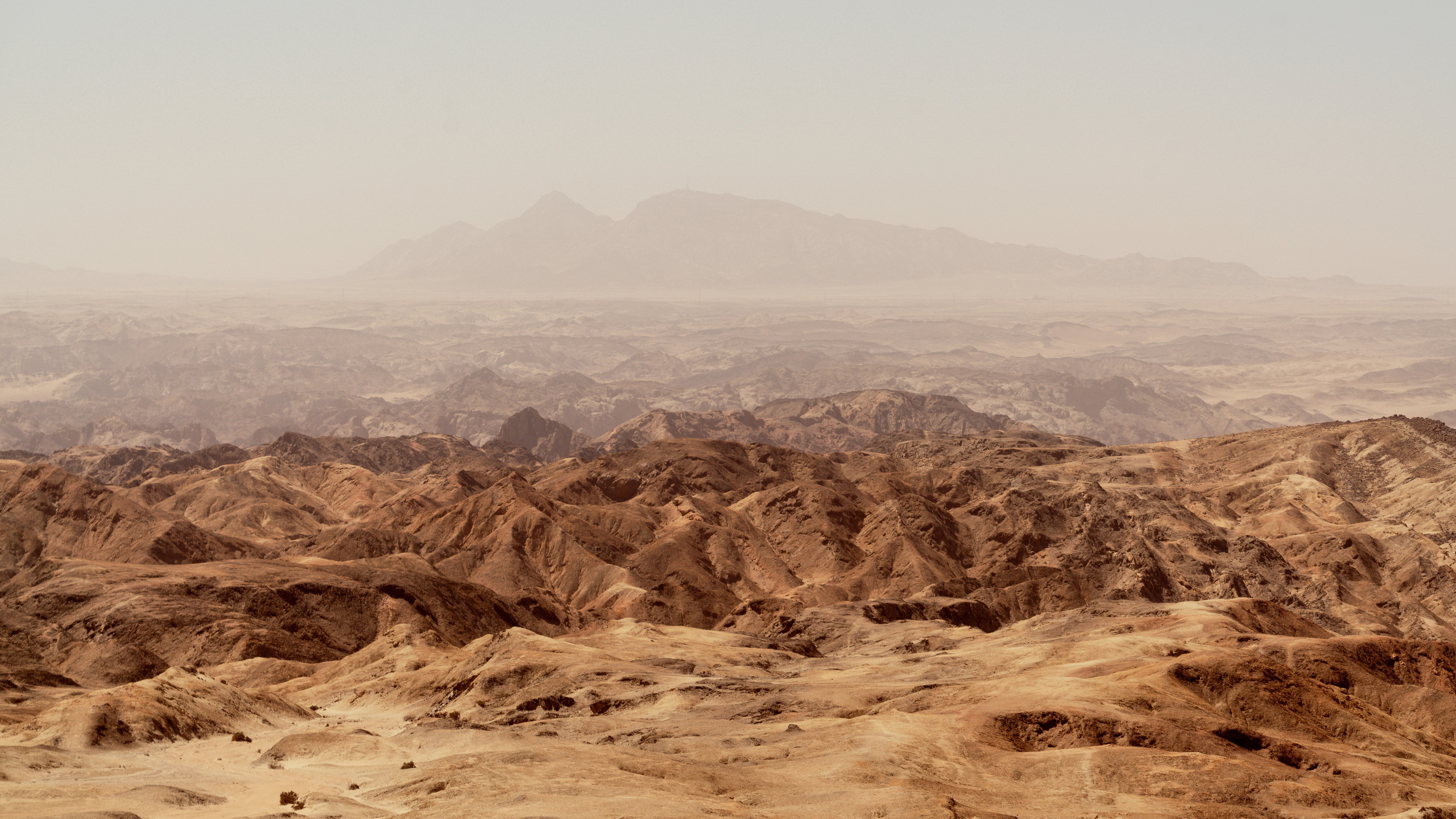 Южная Африка. Фотограф в Хабаровске. Фотография за 24 часа